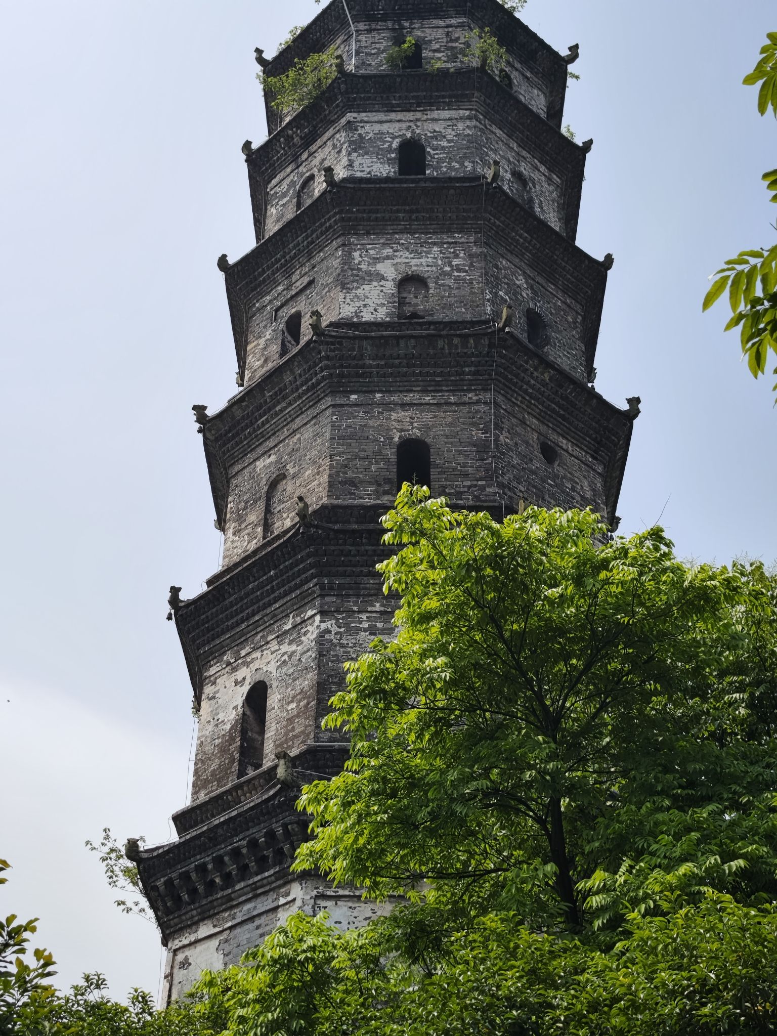 双塔公园旅行图片 1