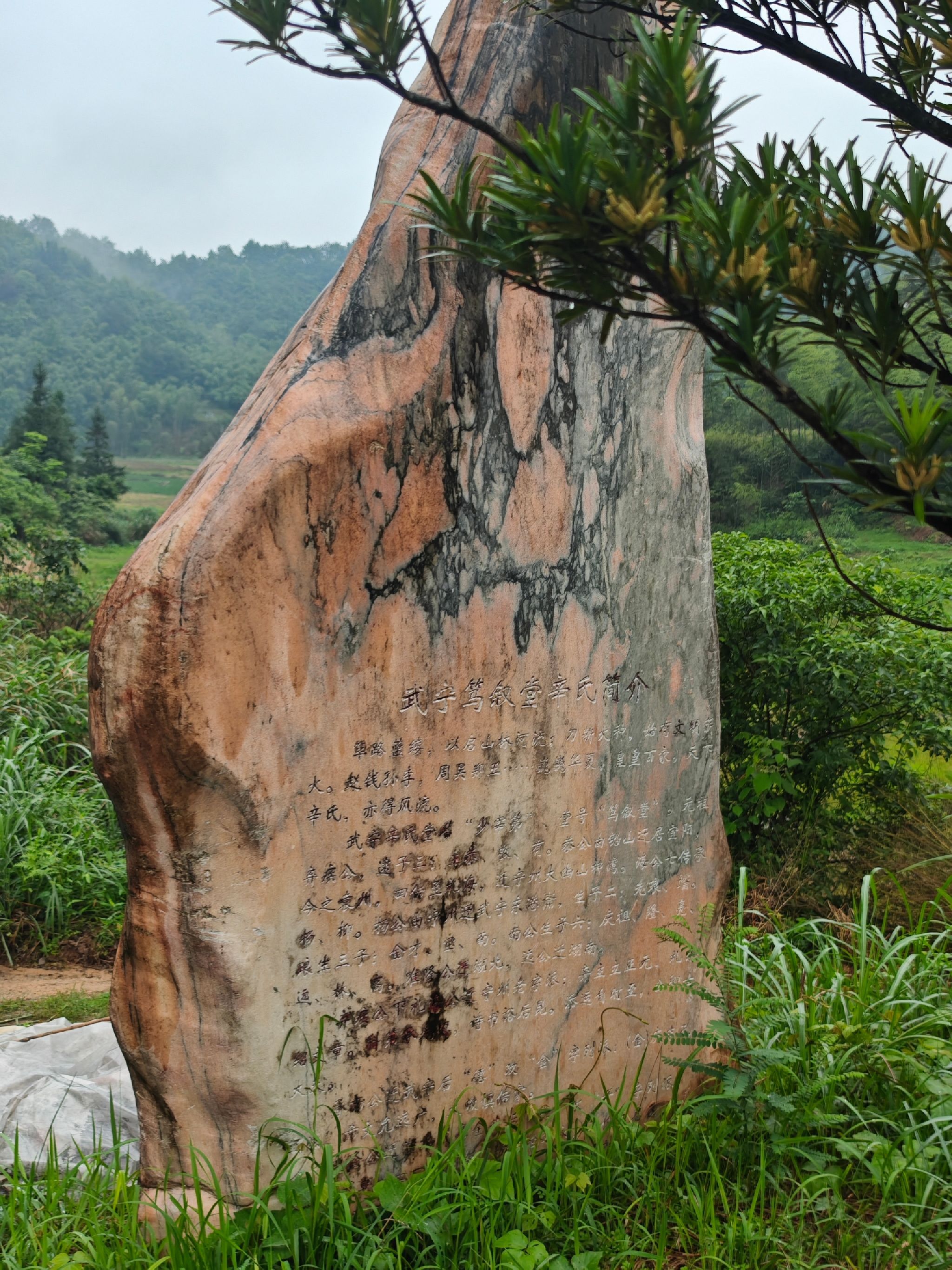 辛弃疾墓旅行图片 2