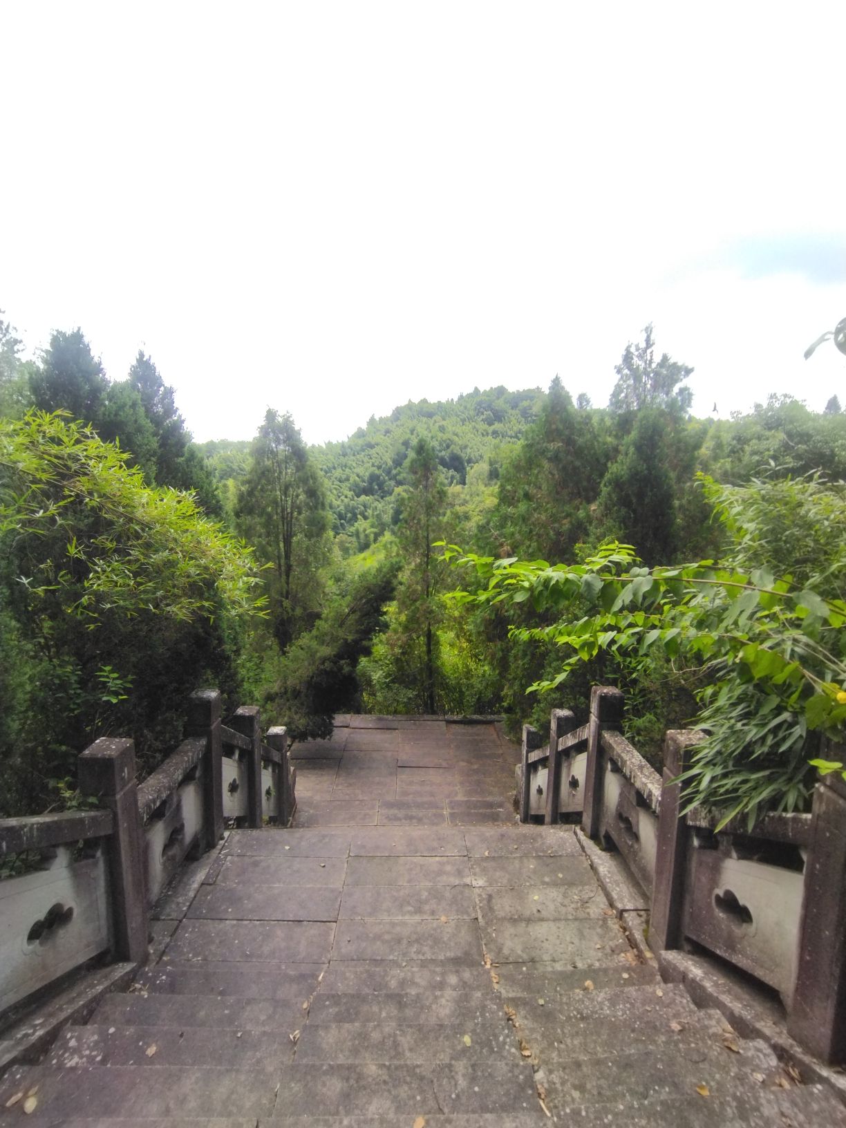 辛弃疾墓旅行图片 2