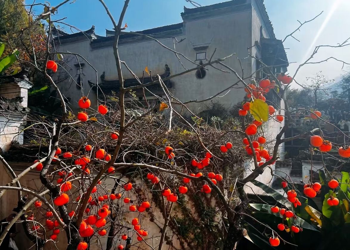 婺源篁岭景区旅行图片 1