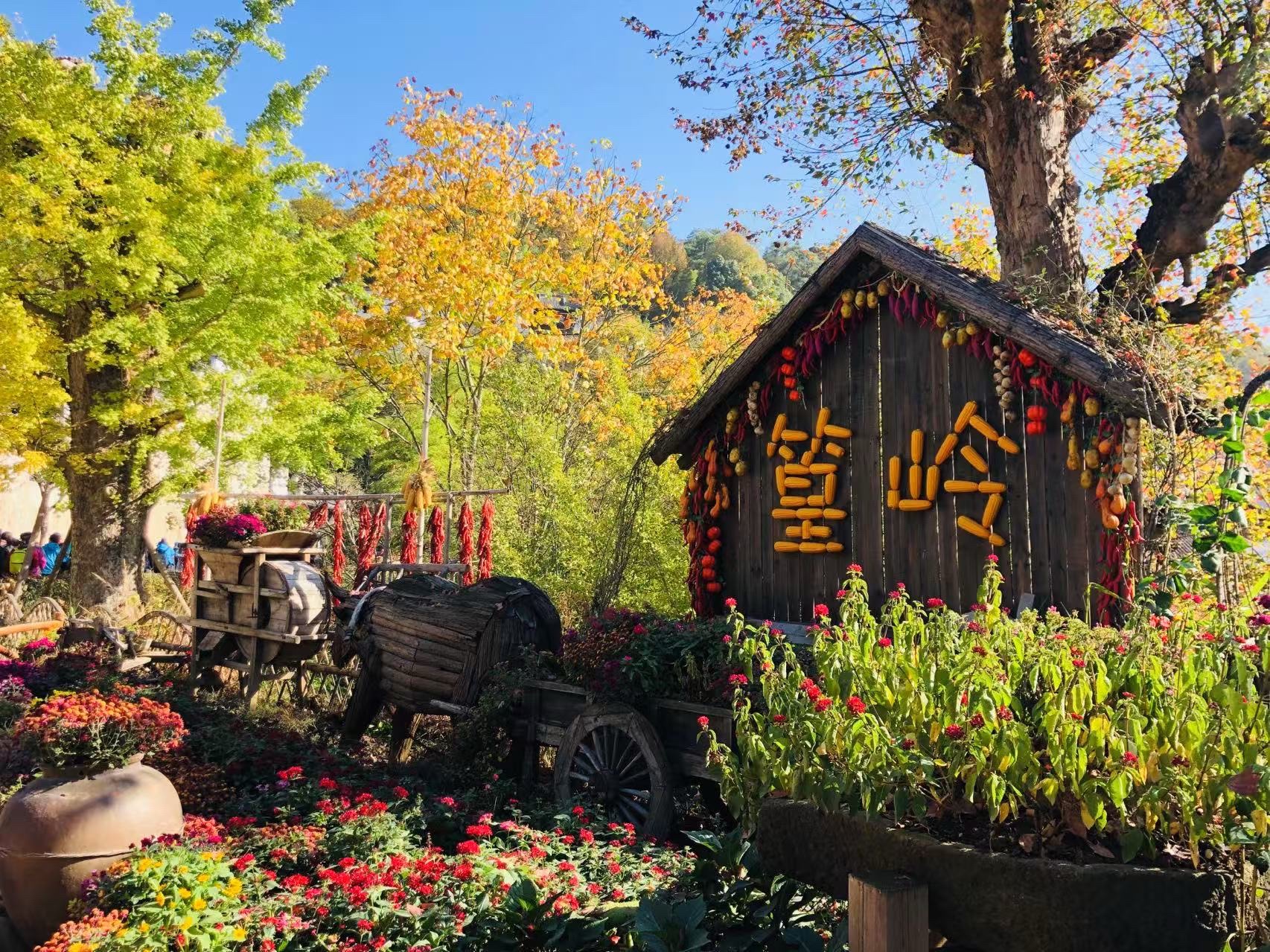 婺源篁岭景区旅行图片 2