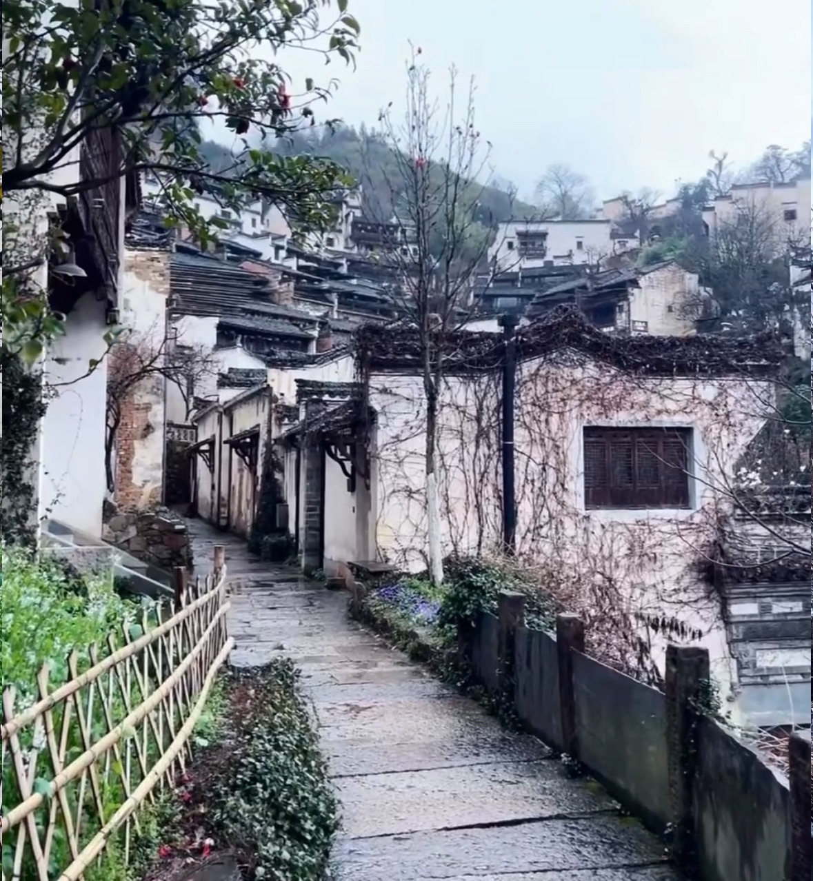 婺源篁岭景区旅行图片 2