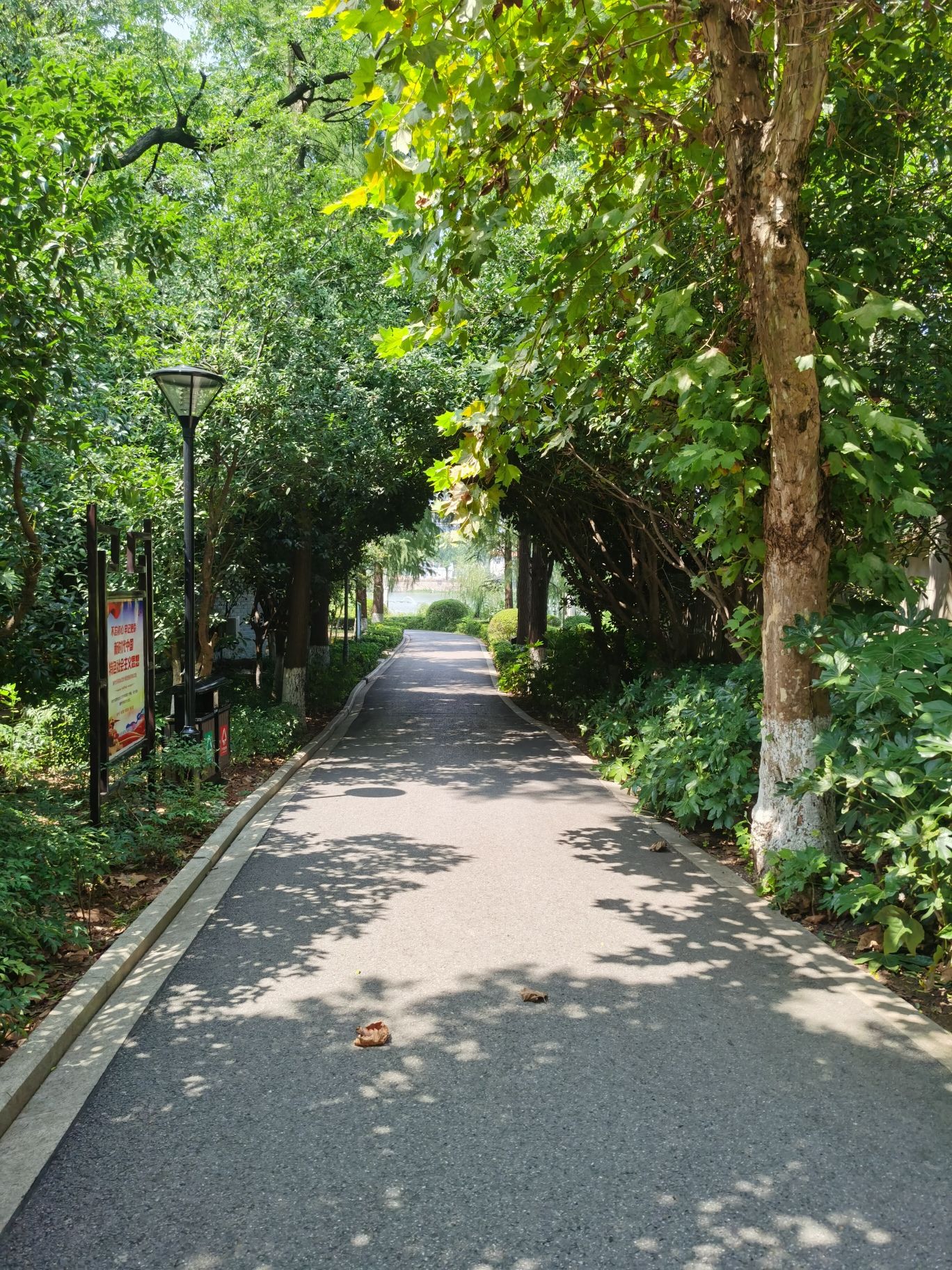清风仙境风景区旅行图片 3