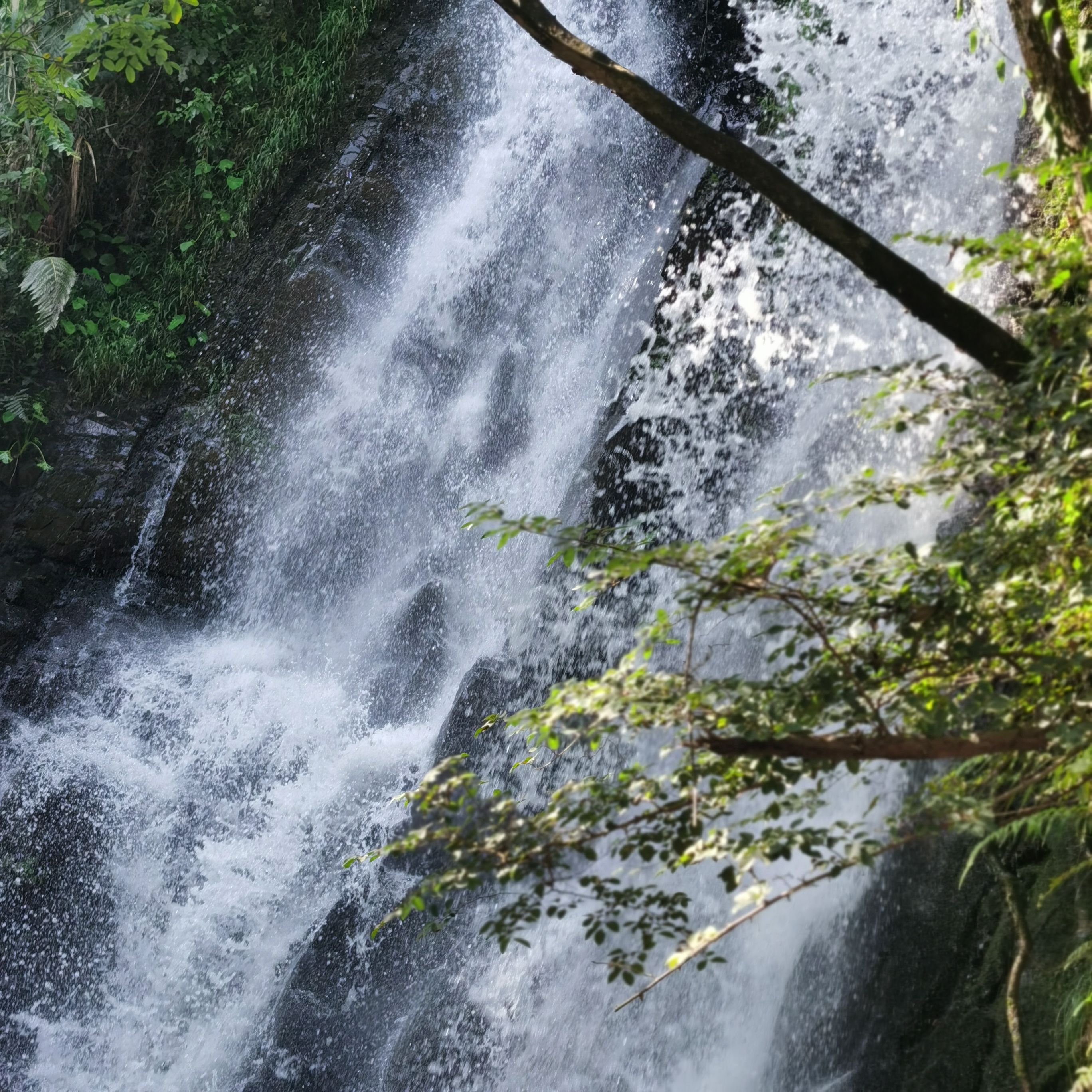清风仙境风景区旅行图片 2