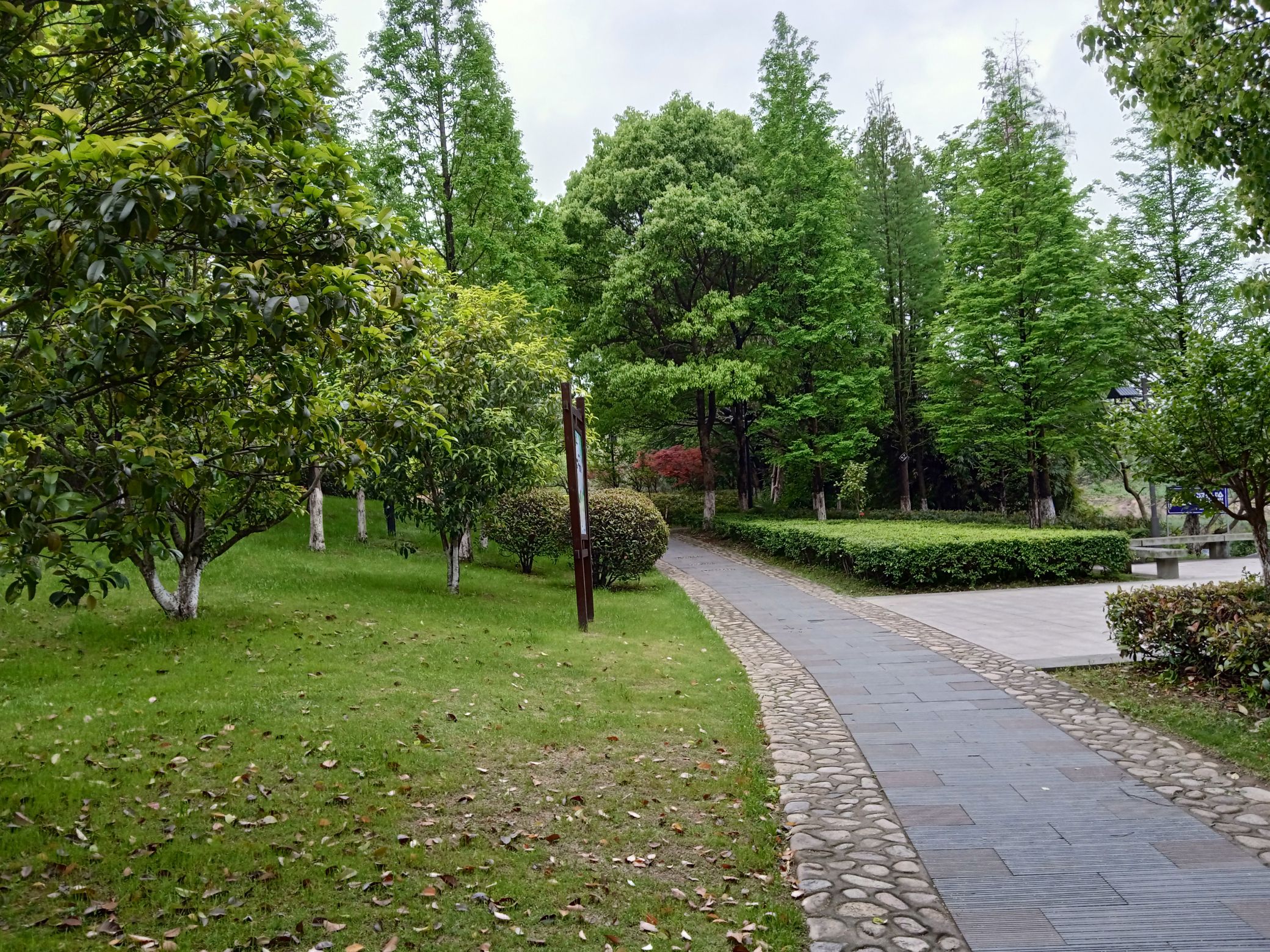 槠溪湿地公园旅行图片 2