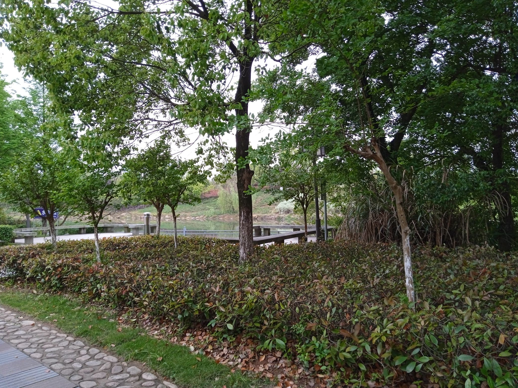 槠溪湿地公园旅行图片 1