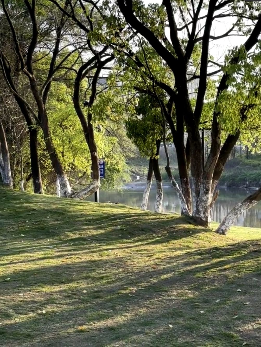 槠溪湿地公园旅行图片 3