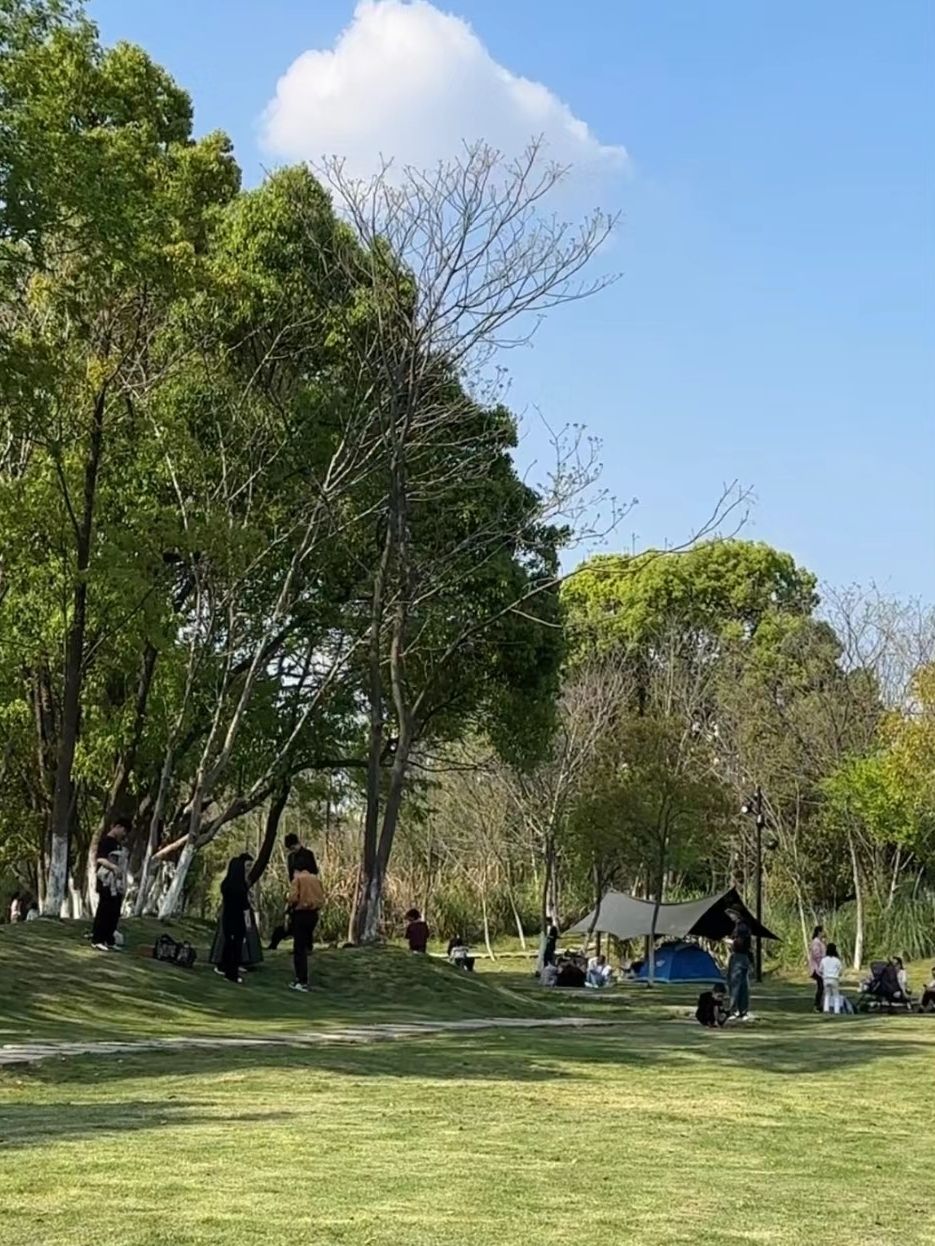 槠溪湿地公园旅行图片 2
