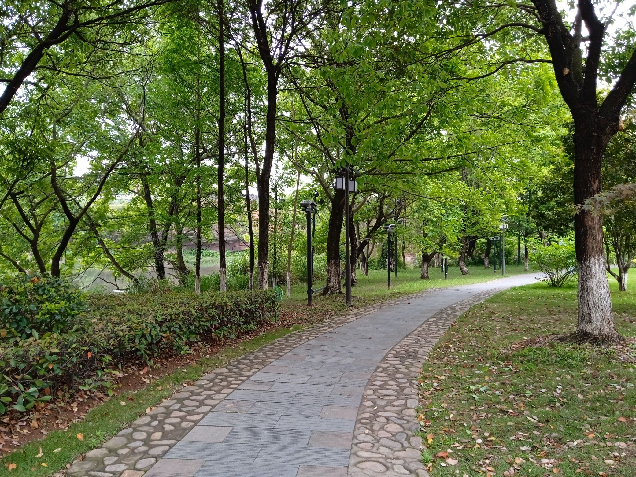 槠溪湿地公园旅行图片 3