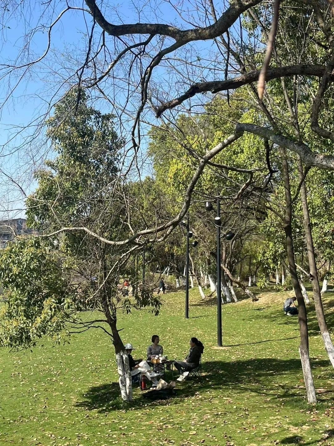 槠溪湿地公园旅行图片 1