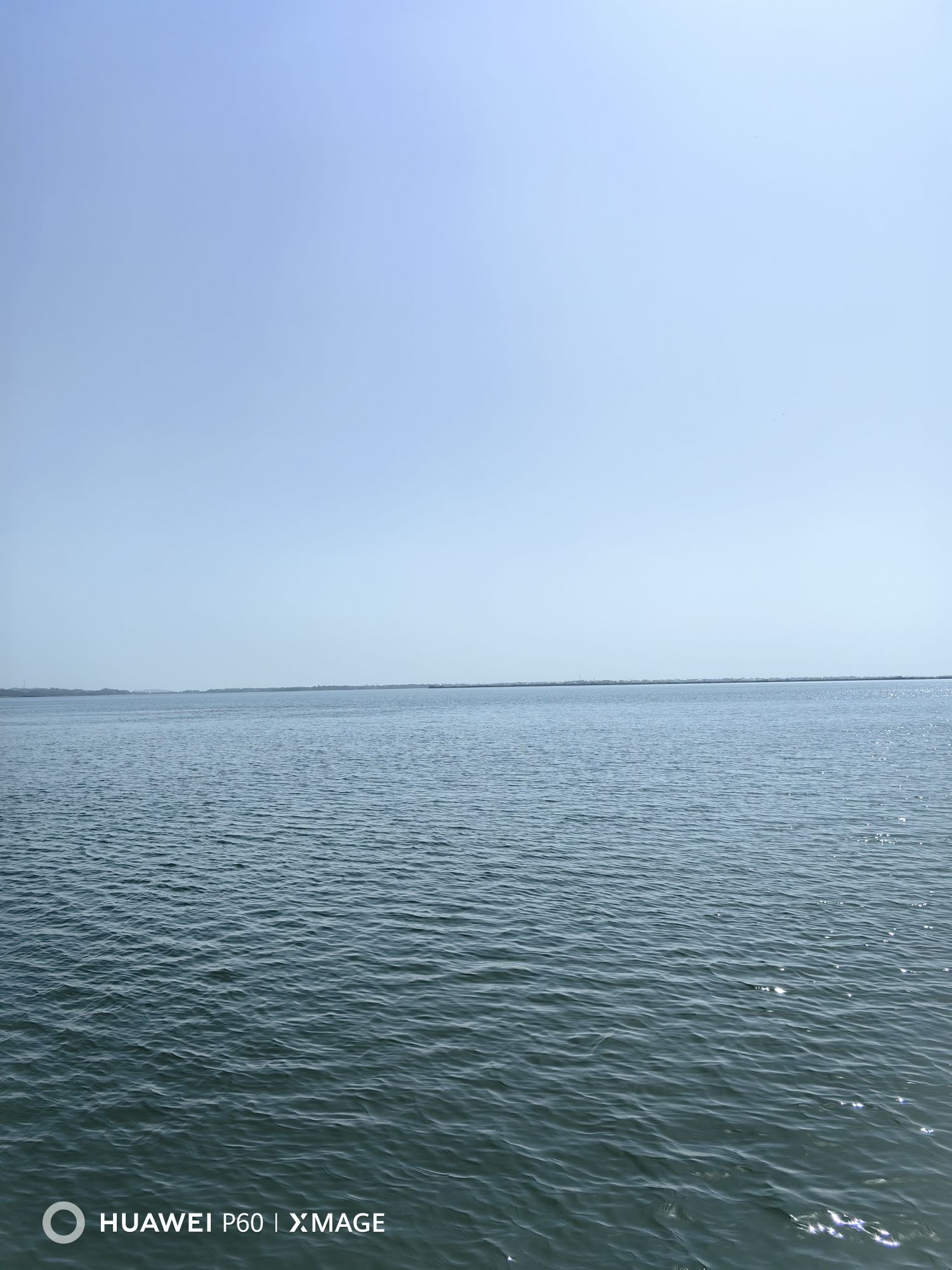 鄱阳湖国家湿地公园旅行图片 2