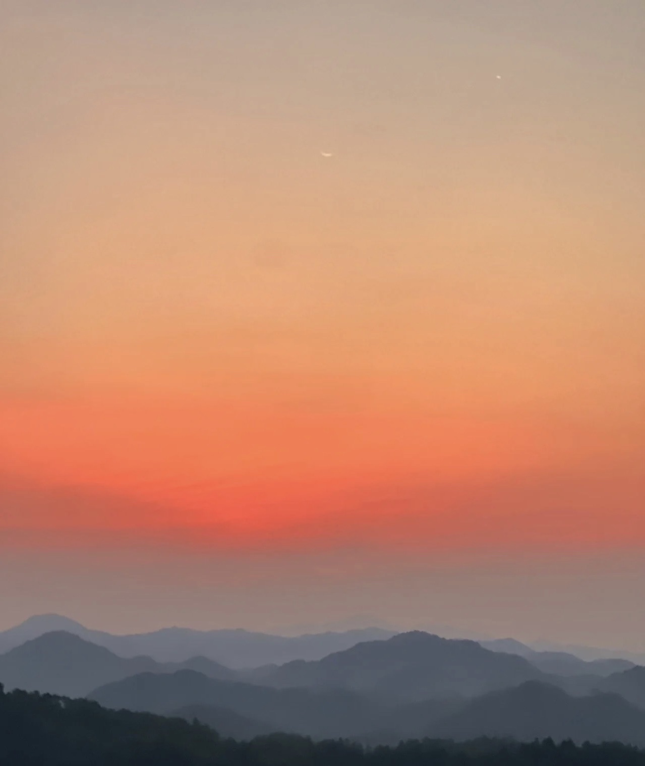 紫阳公园旅行图片 3