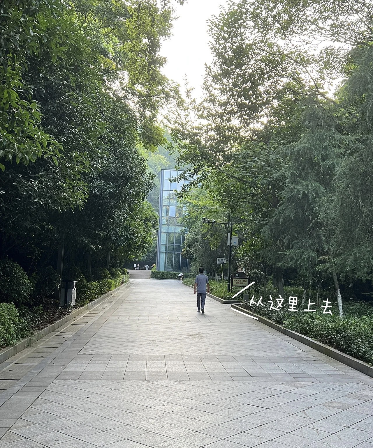 紫阳公园旅行图片 1
