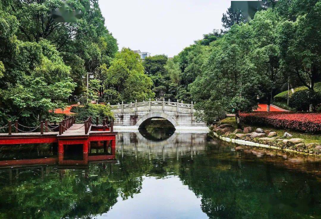 紫阳公园旅行图片 2