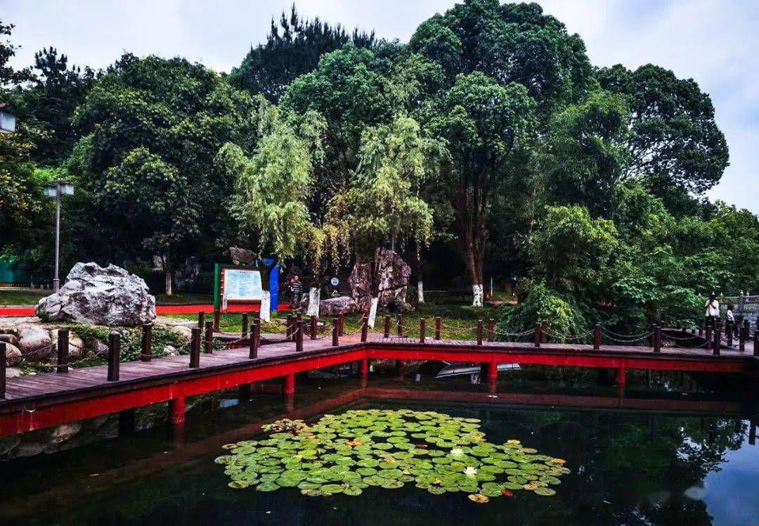 紫阳公园旅行图片 3