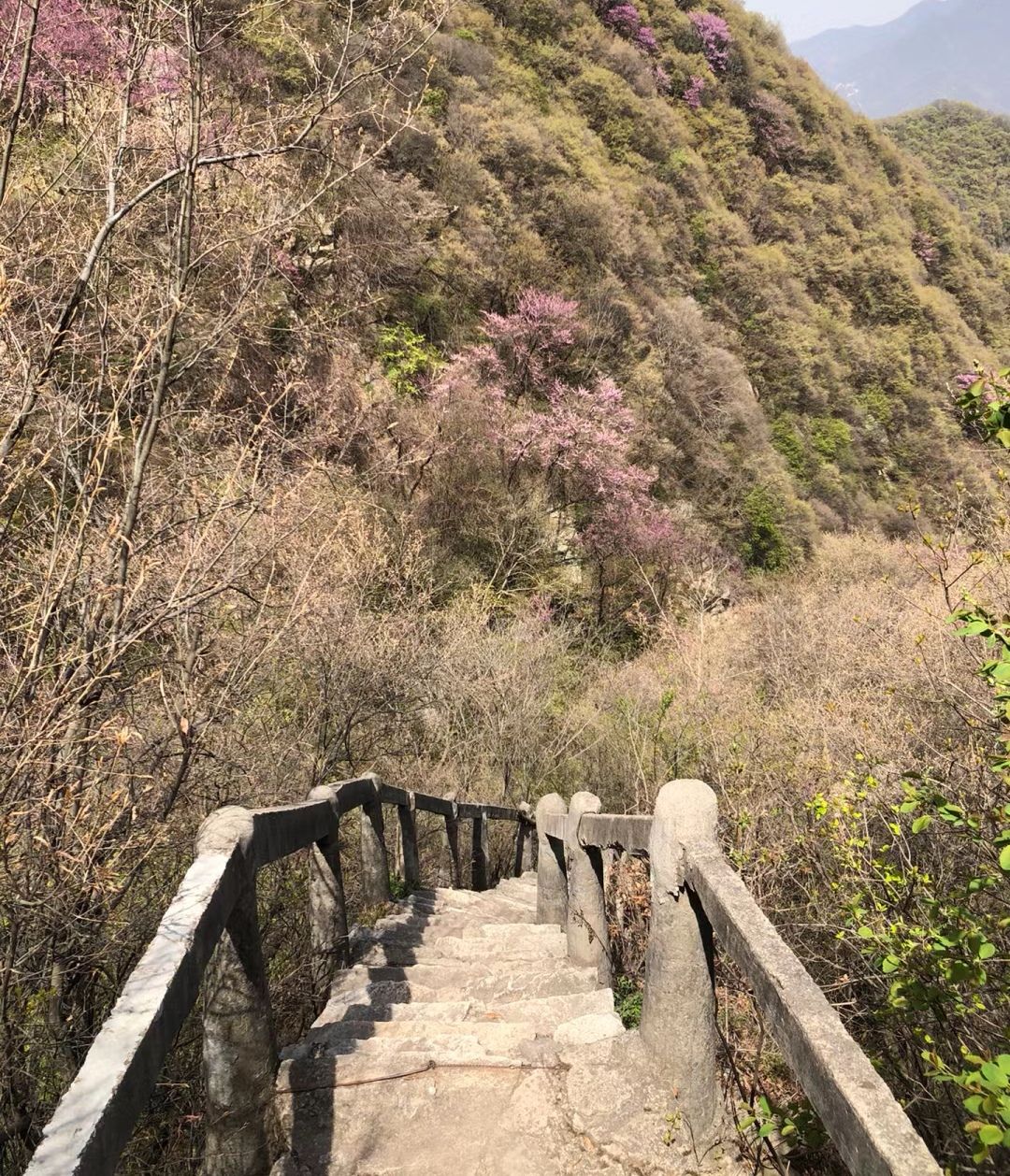 太极岩风景区旅行图片 1