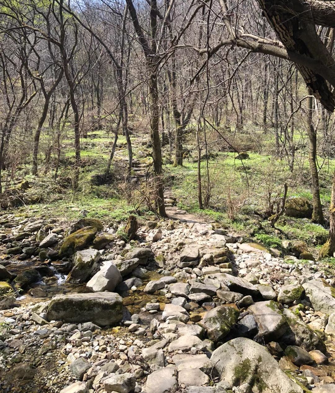 太极岩风景区旅行图片 2