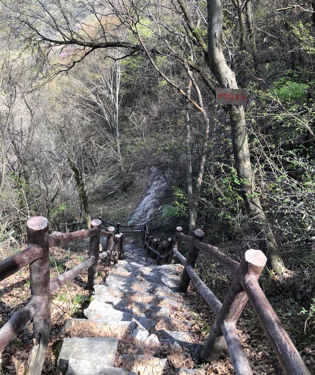 太极岩风景区旅行图片 3