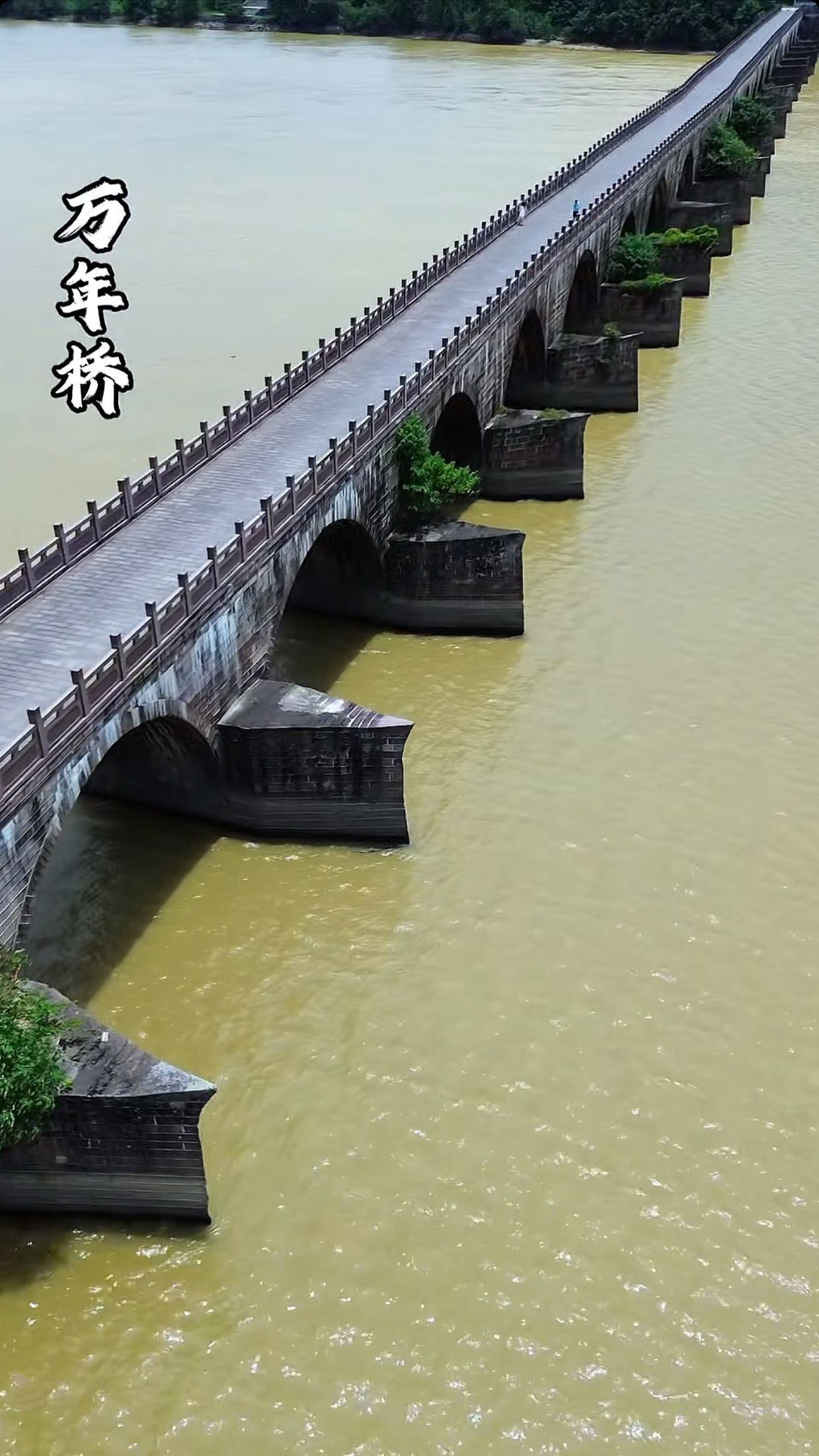 万年桥旅行图片 2