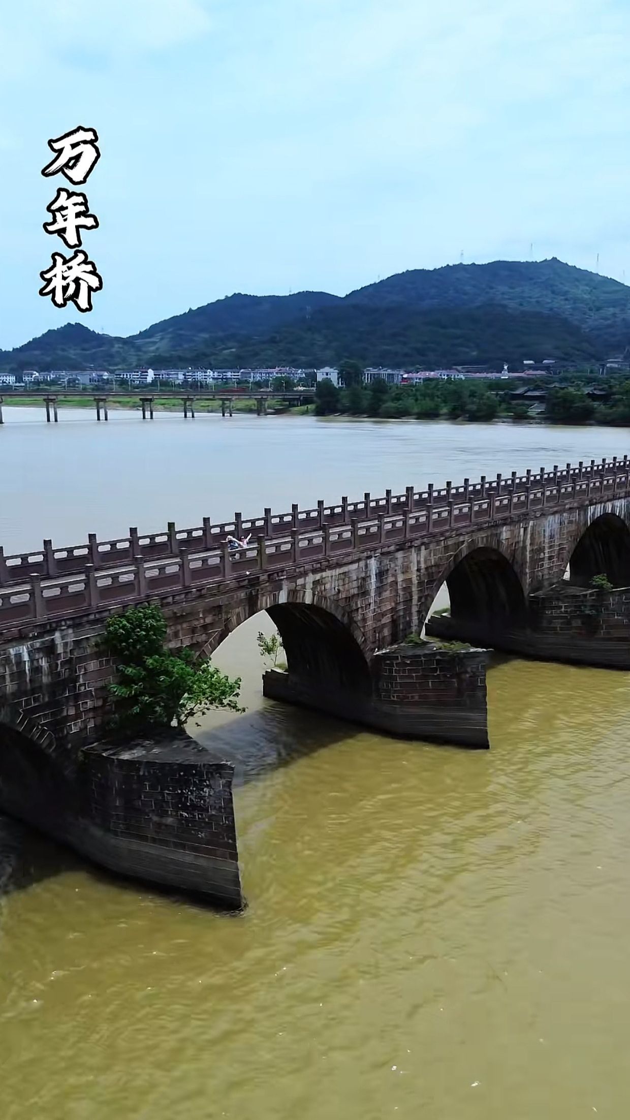 万年桥旅行图片 3