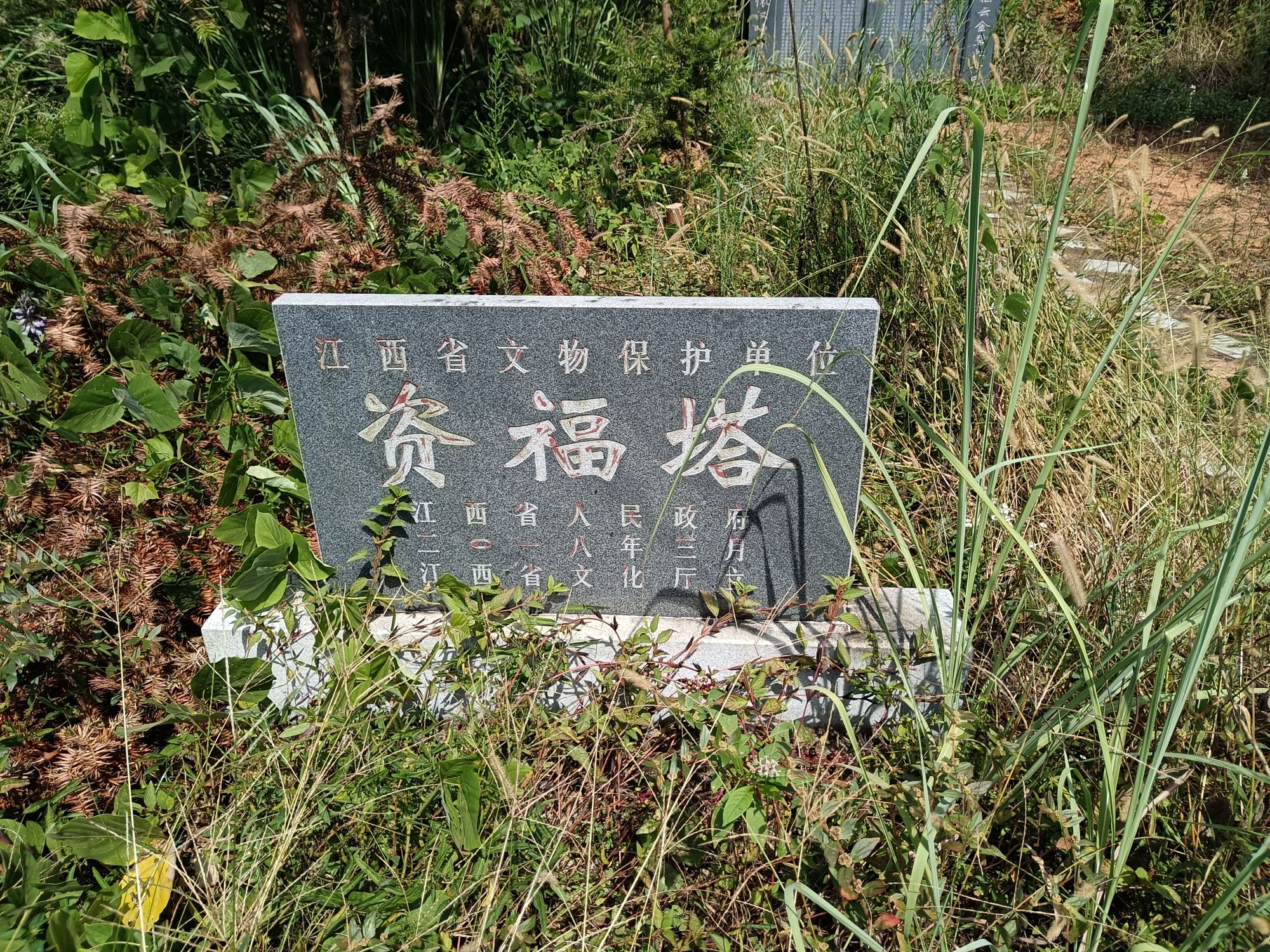 资福塔旅行图片 2