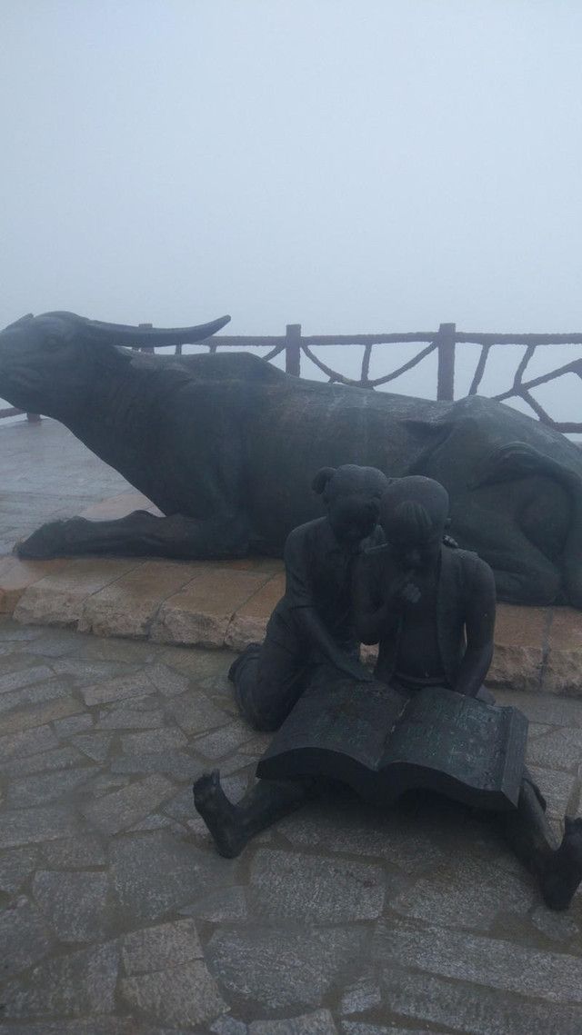 灵谷峰景区旅行图片 2
