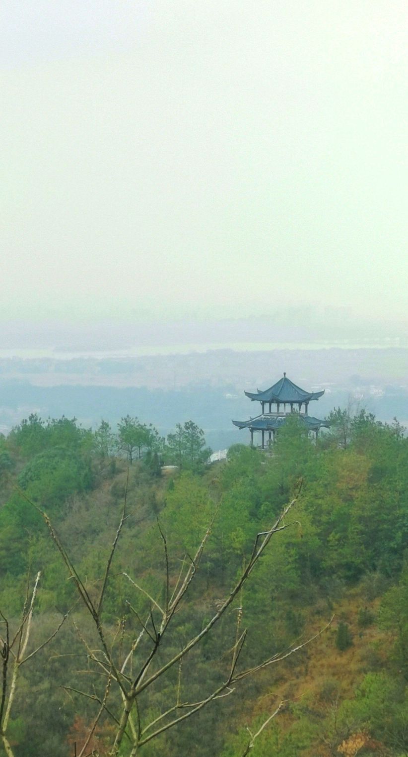 灵谷峰景区旅行图片 2
