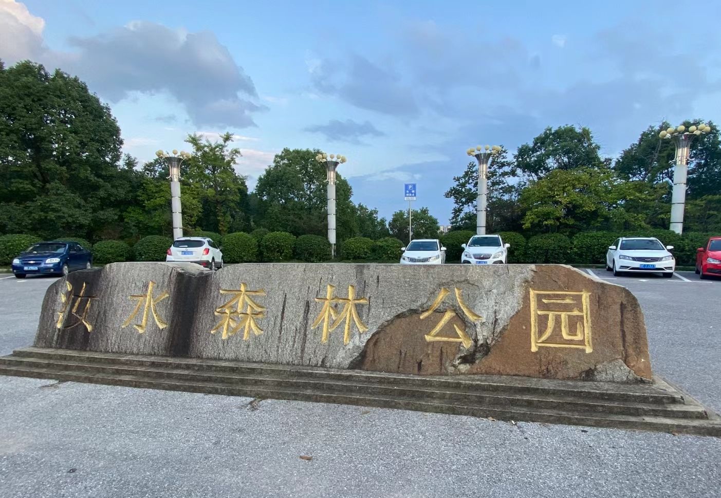 汝水森林公园旅行图片 1