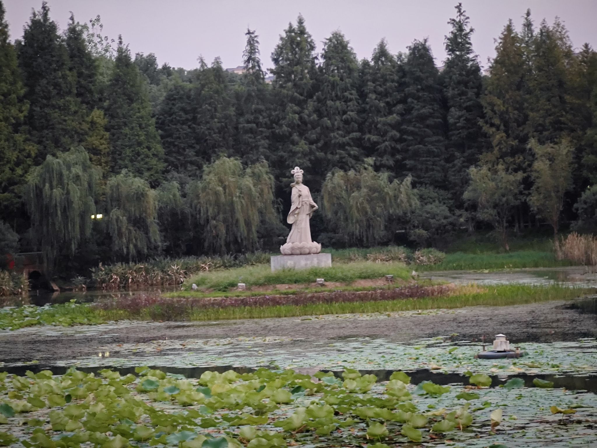 汝水森林公园旅行图片 2