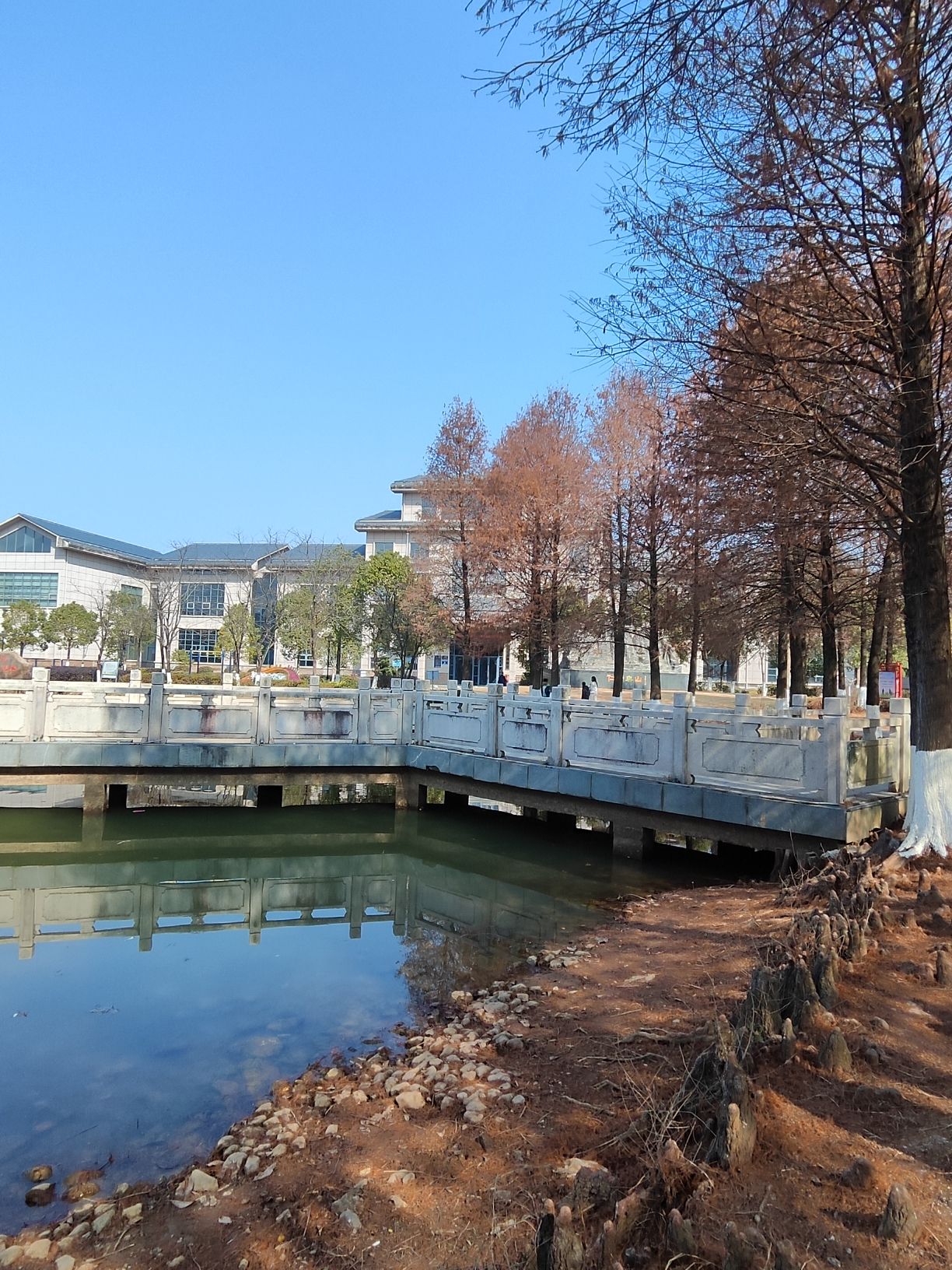 南阜公园旅行图片 2
