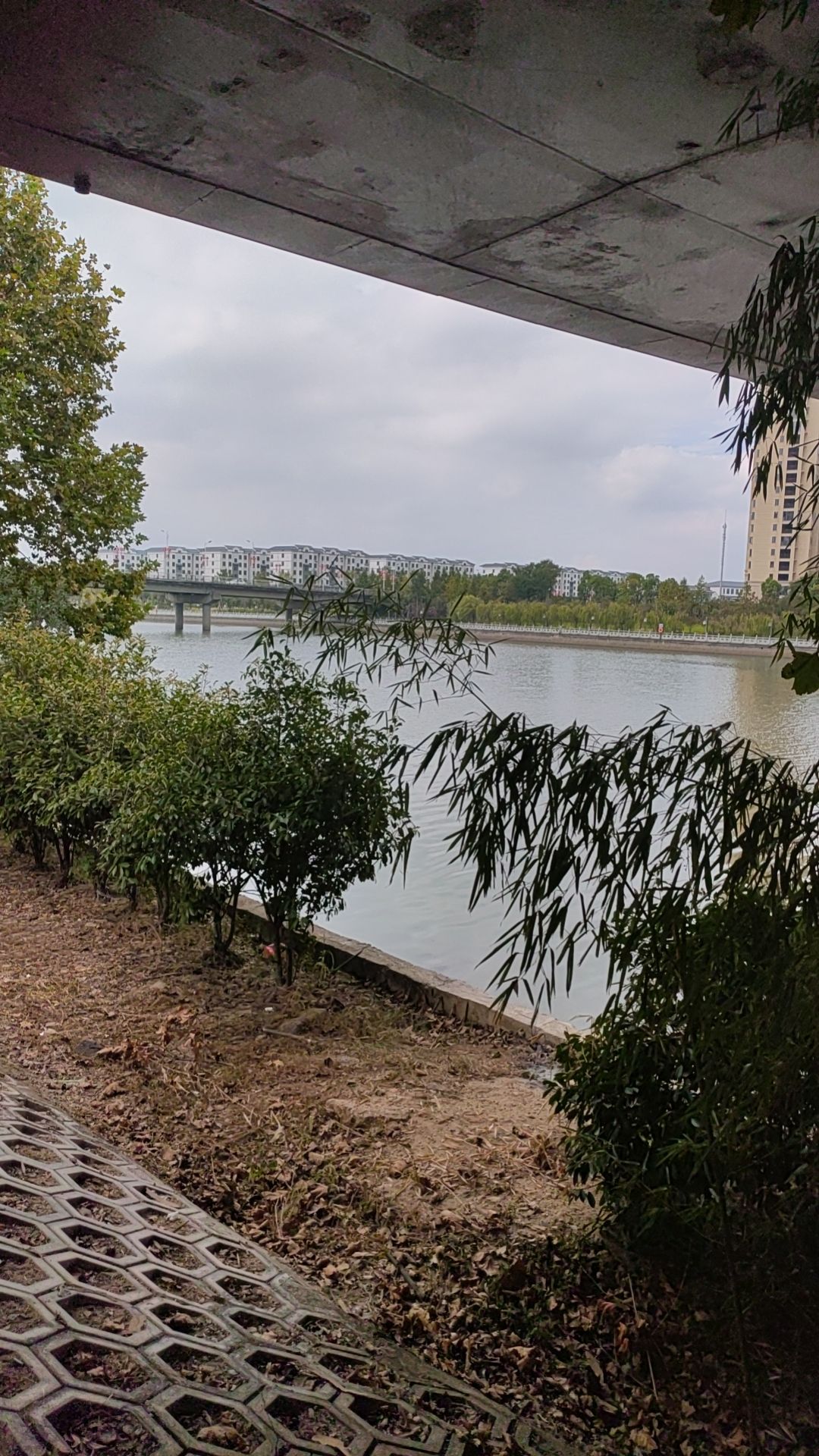 河滨公园旅行图片 2