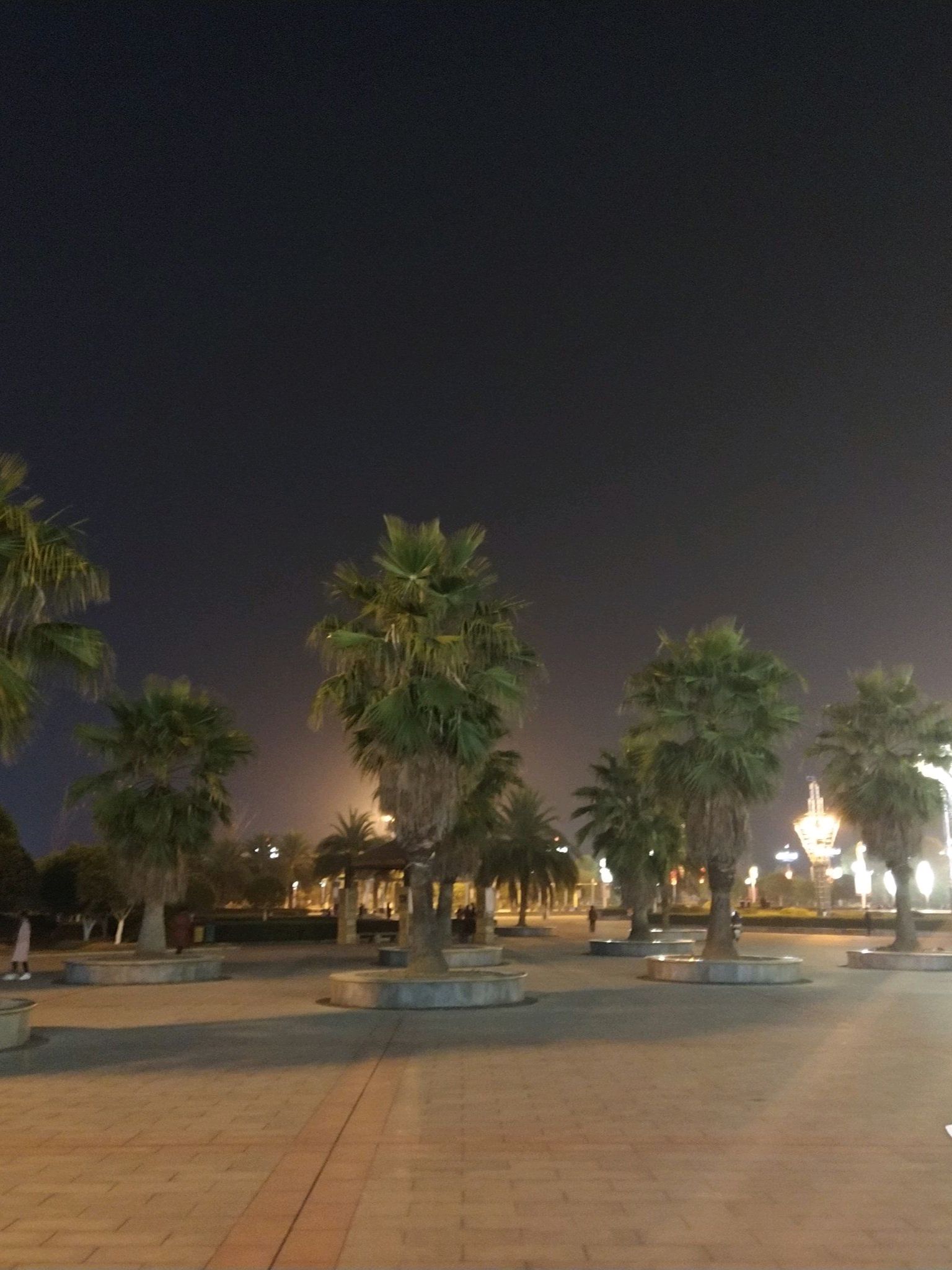 市民公园旅行图片 2