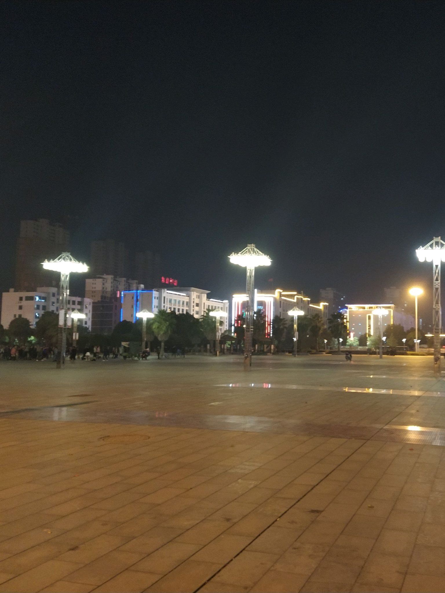 市民公园旅行图片 3