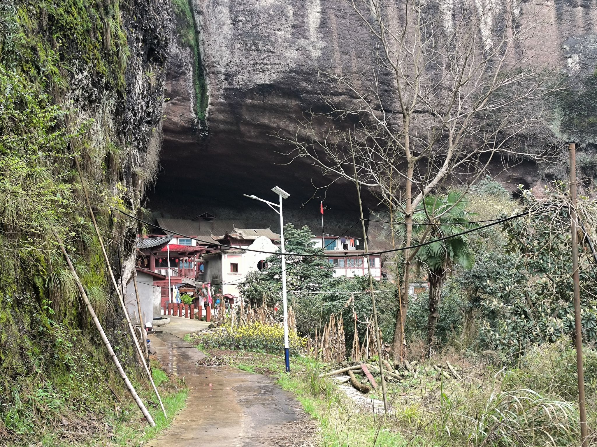 龙凤岩旅行图片 1