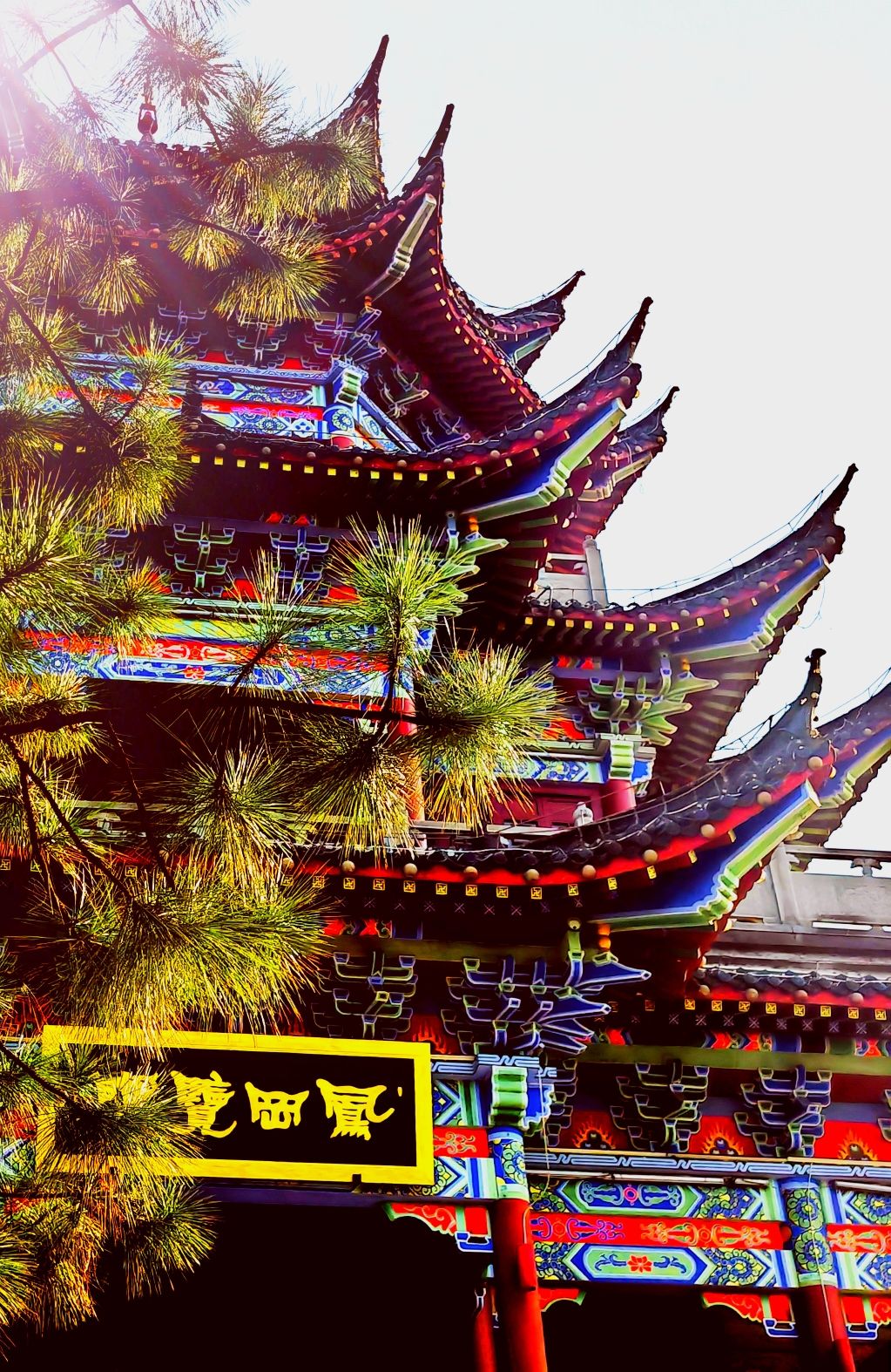 登高公园旅行图片 3