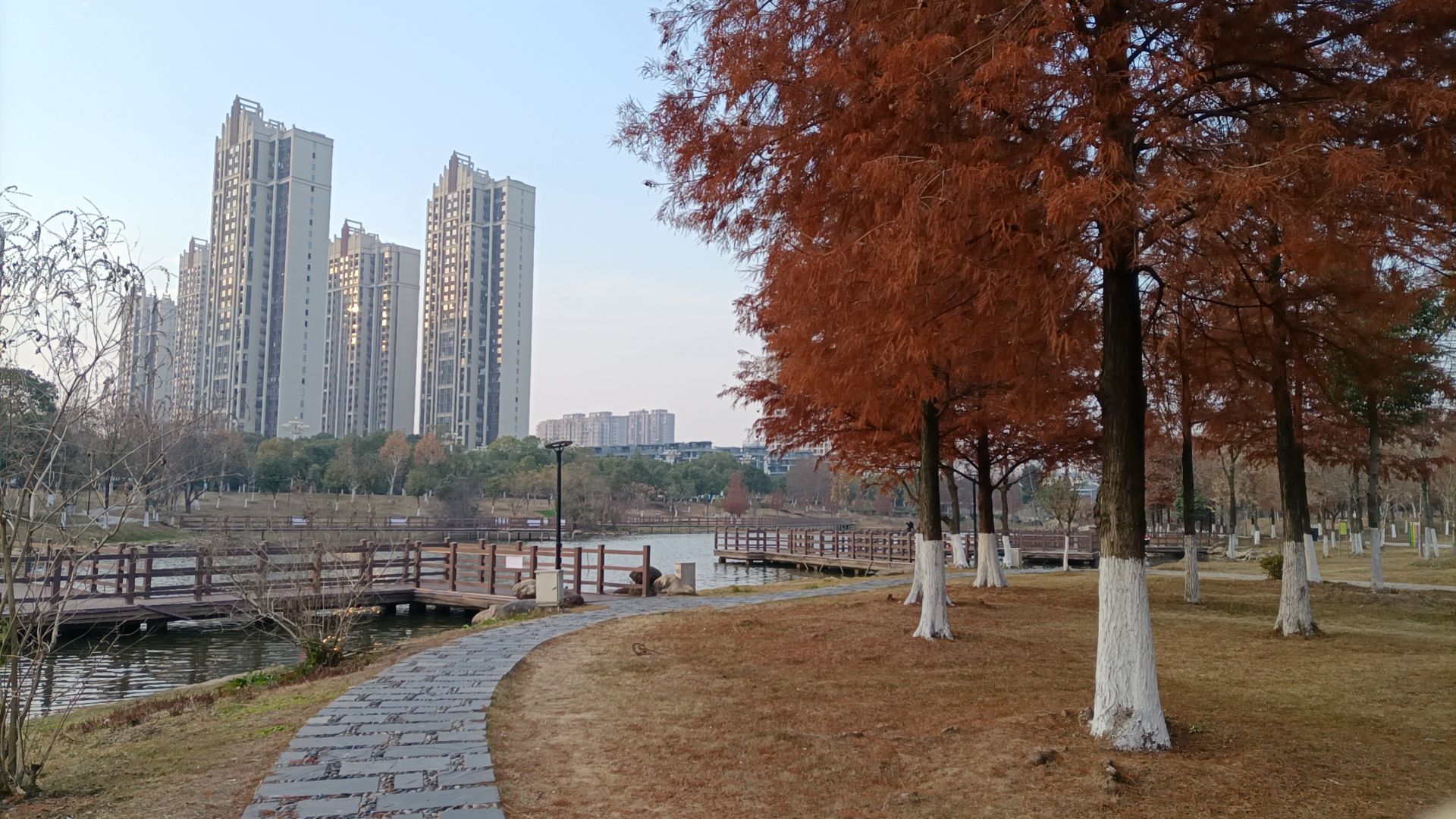 凤岗河湿地公园