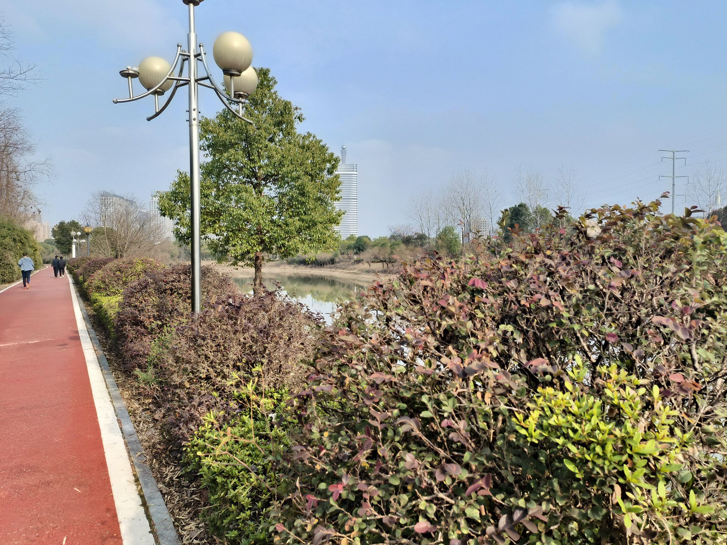 凤岗河湿地公园