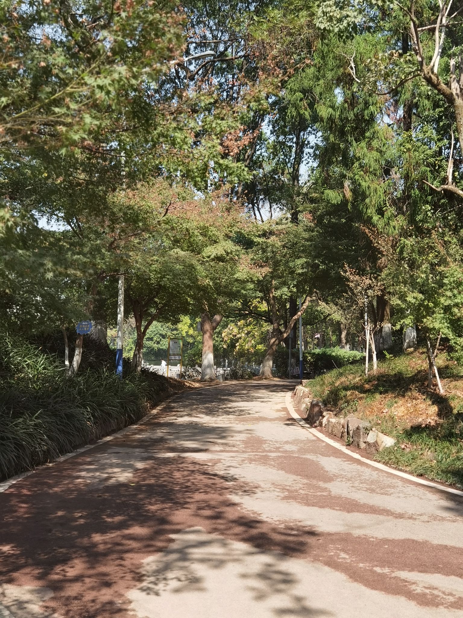 人民公园旅行图片 2