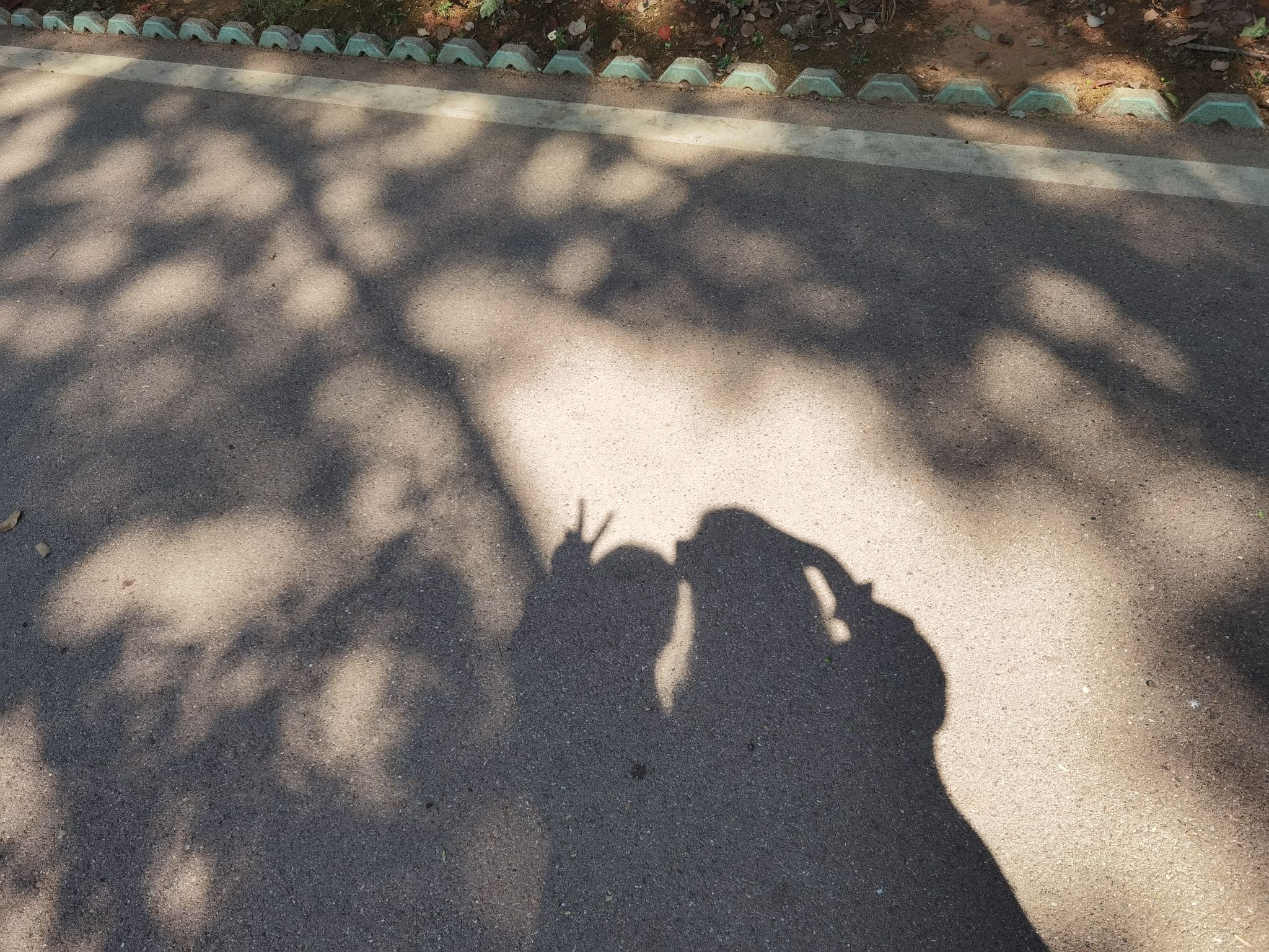 人民公园旅行图片 1