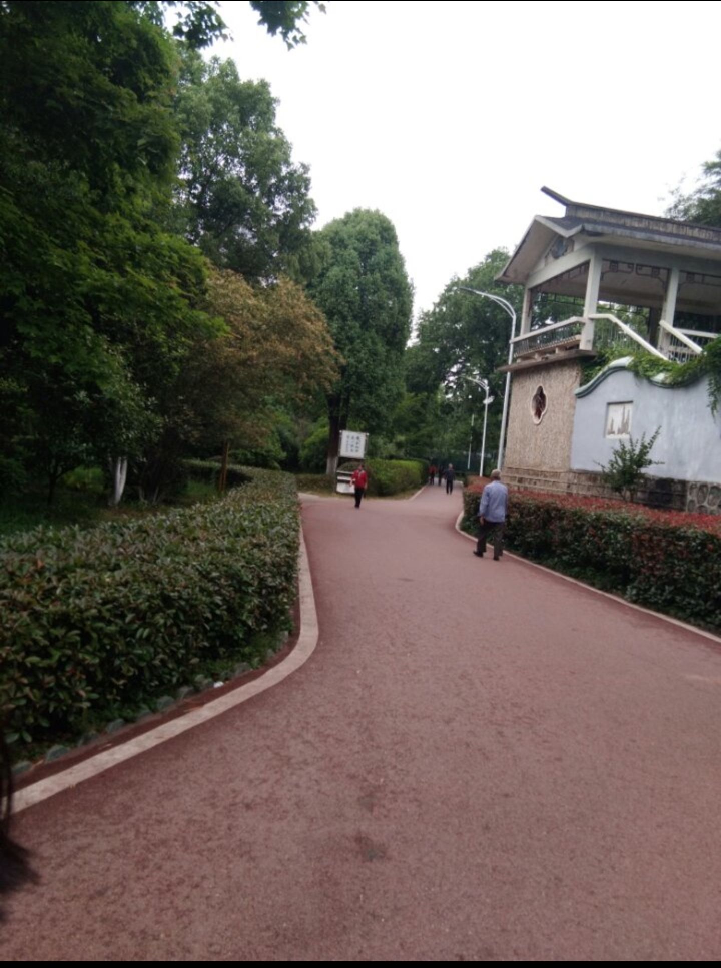 人民公园旅行图片 2