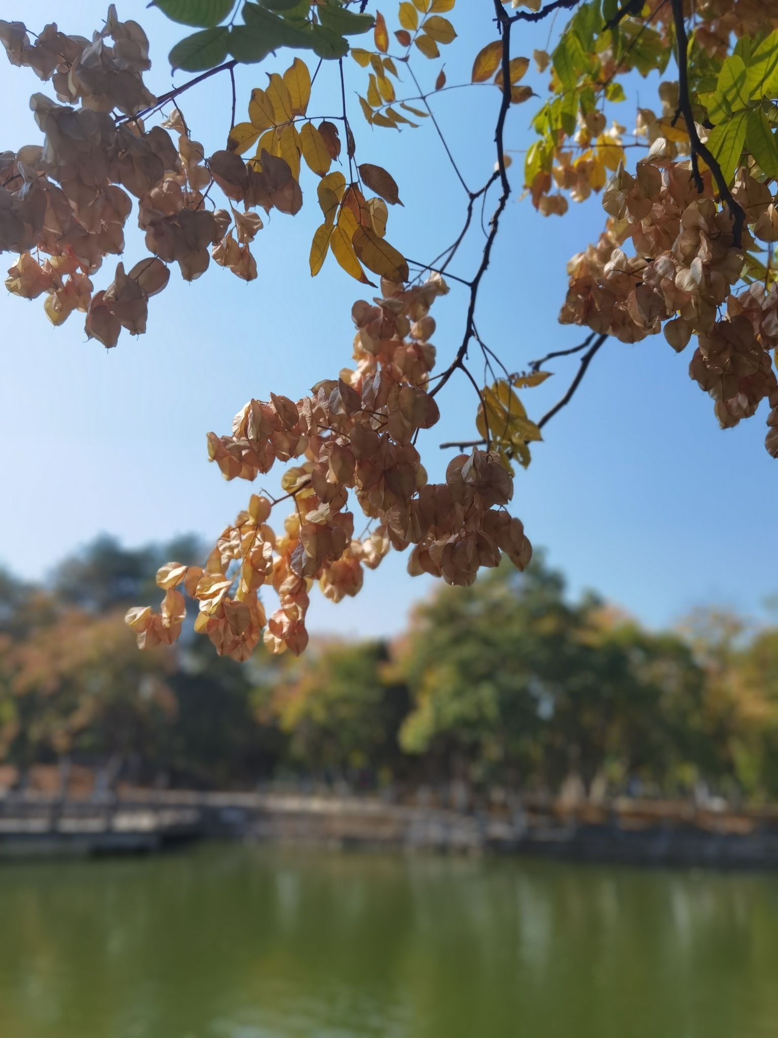 人民公园旅行图片 3