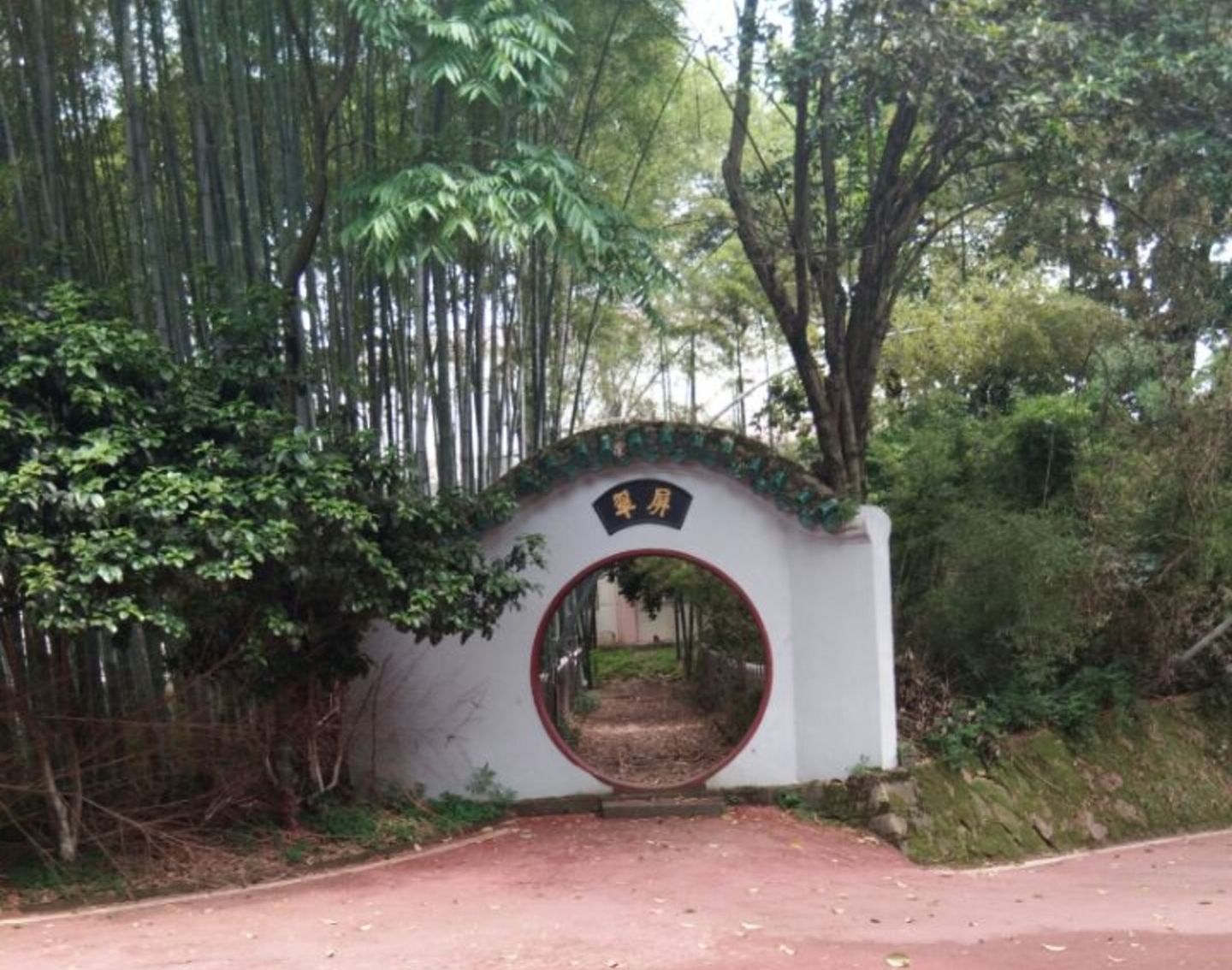 人民公园旅行图片 1
