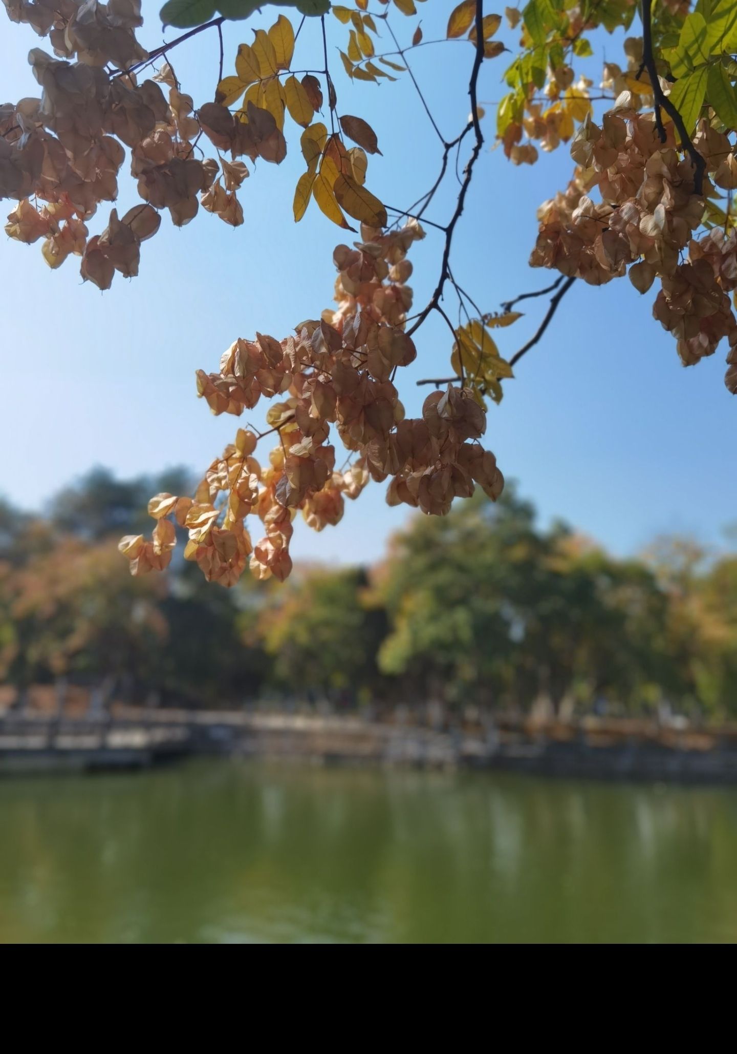 人民公园旅行图片 3