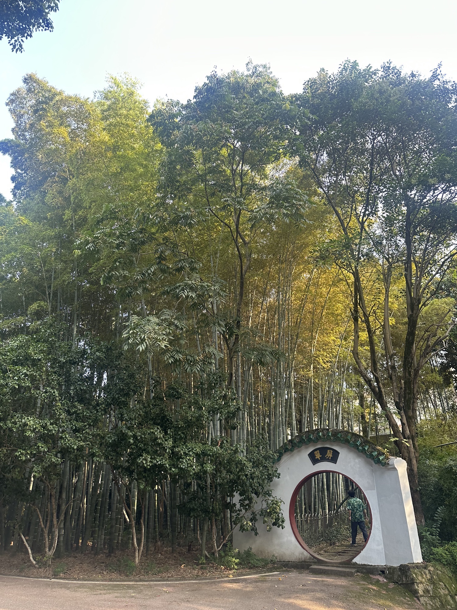 人民公园旅行图片 3