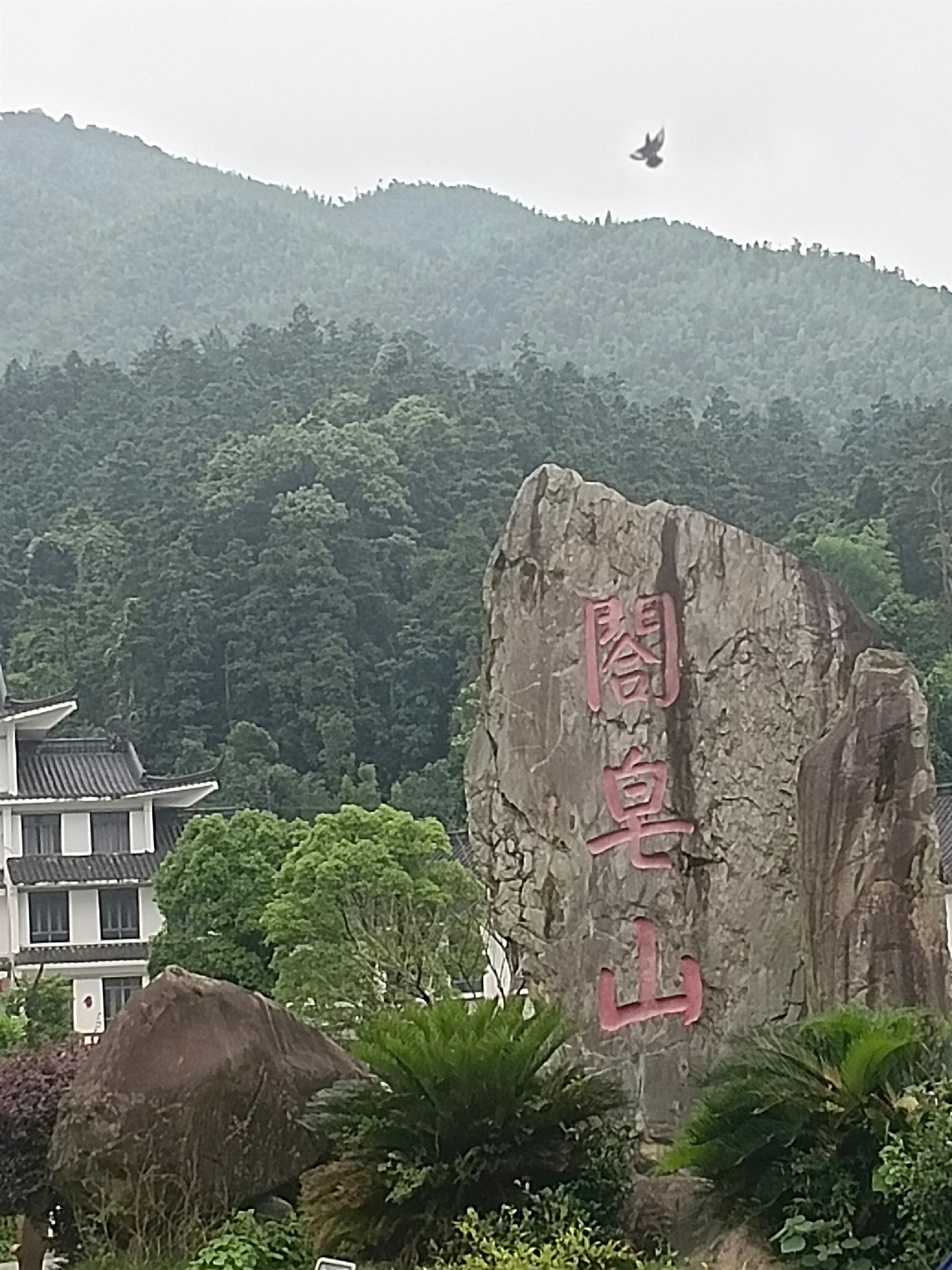 阁皂山景区