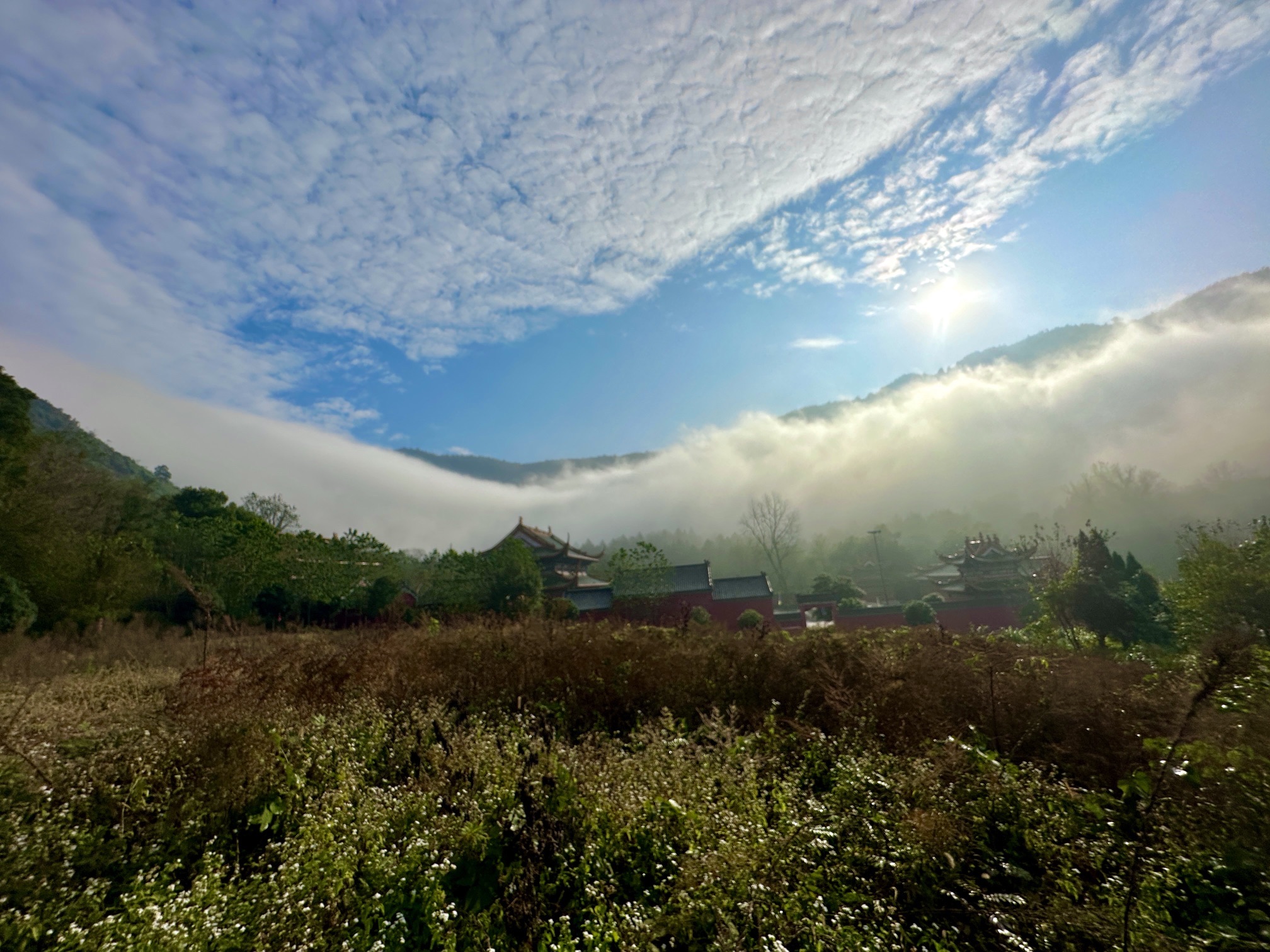 樟树阁皂山风景区旅行图片 2