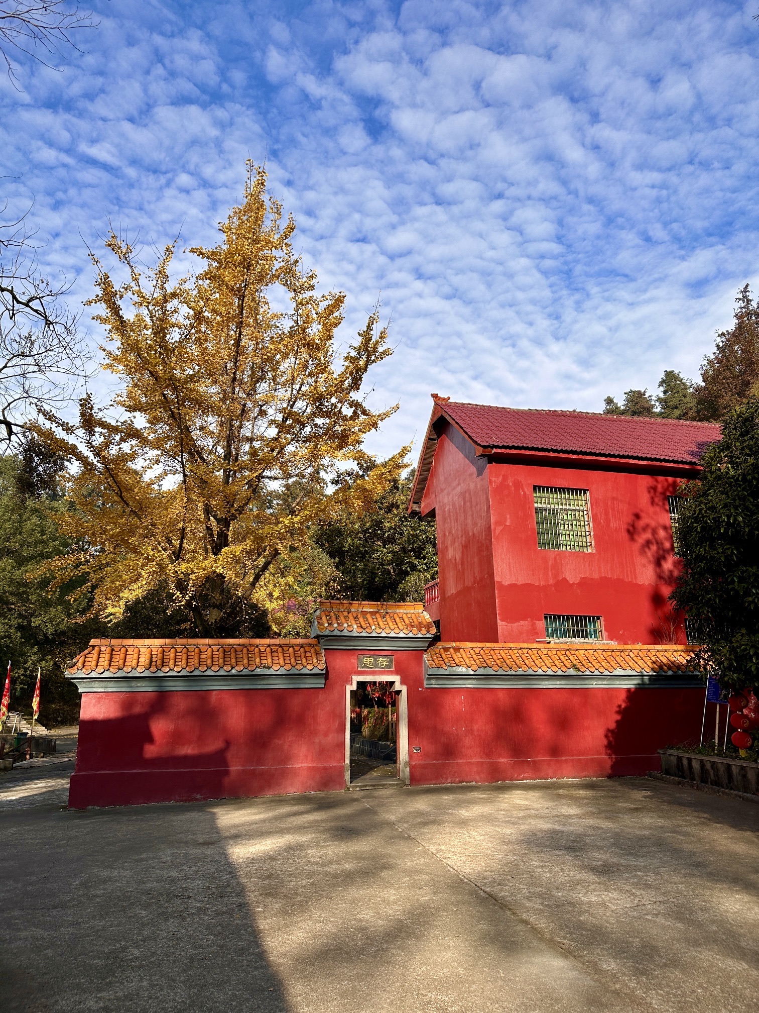 樟树阁皂山风景区旅行图片 3