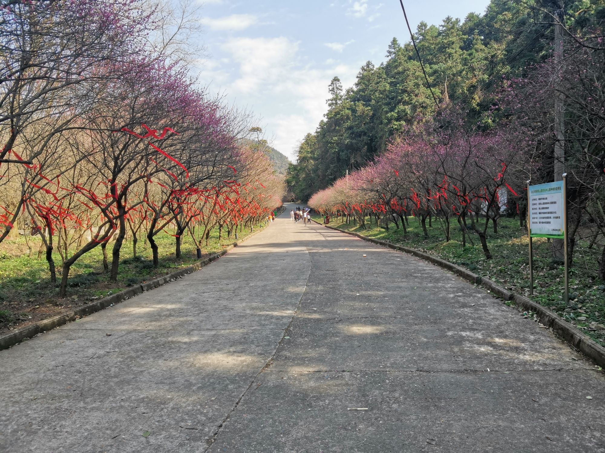 樟树阁皂山风景区旅行图片 3