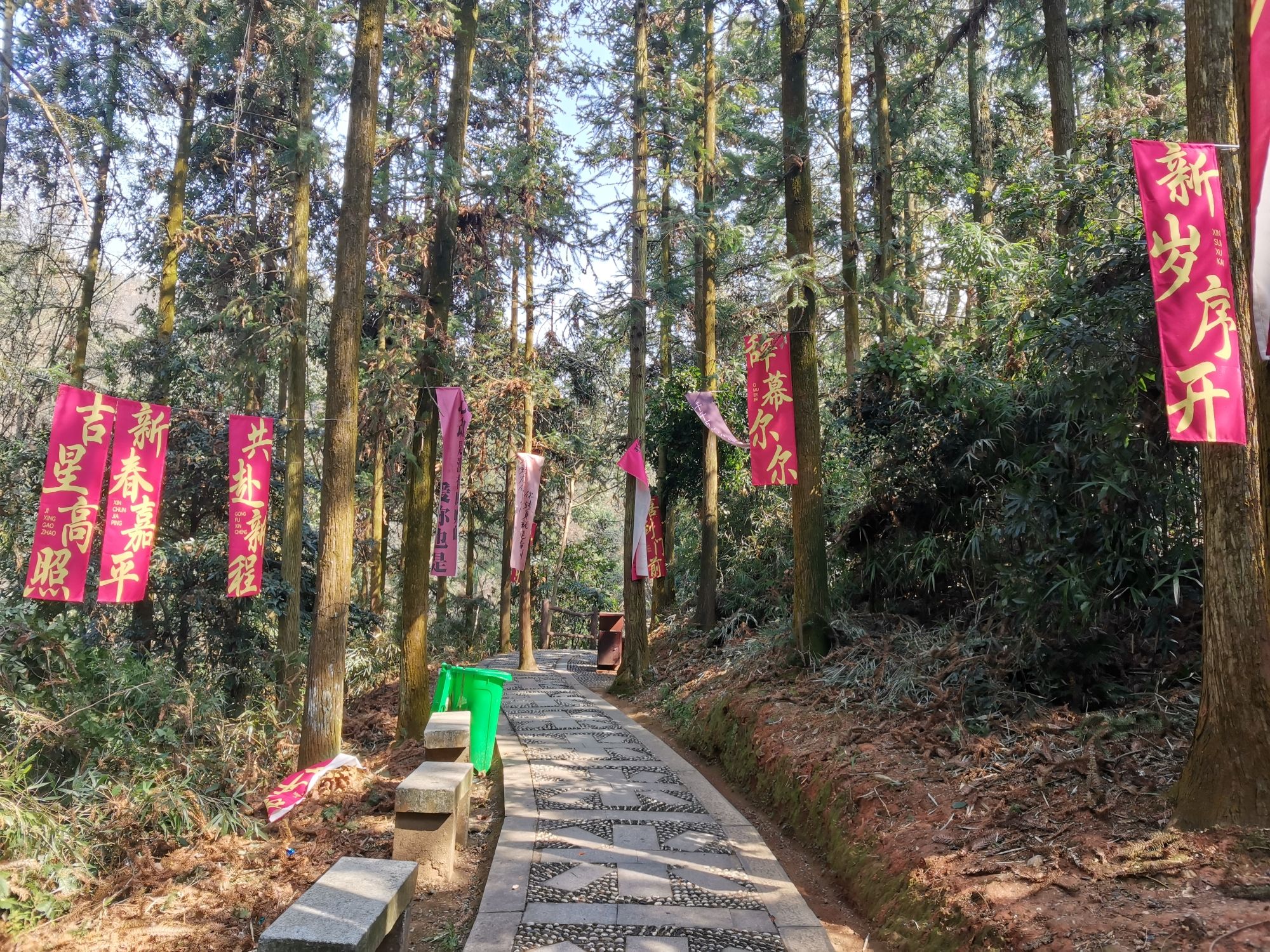 樟树阁皂山风景区旅行图片 1