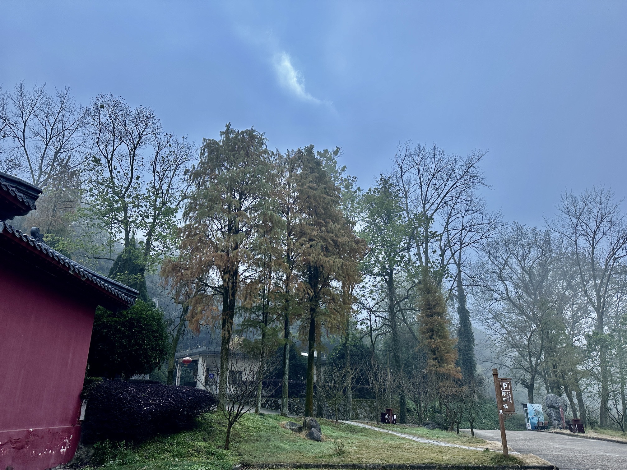 樟树阁皂山风景区旅行图片 1